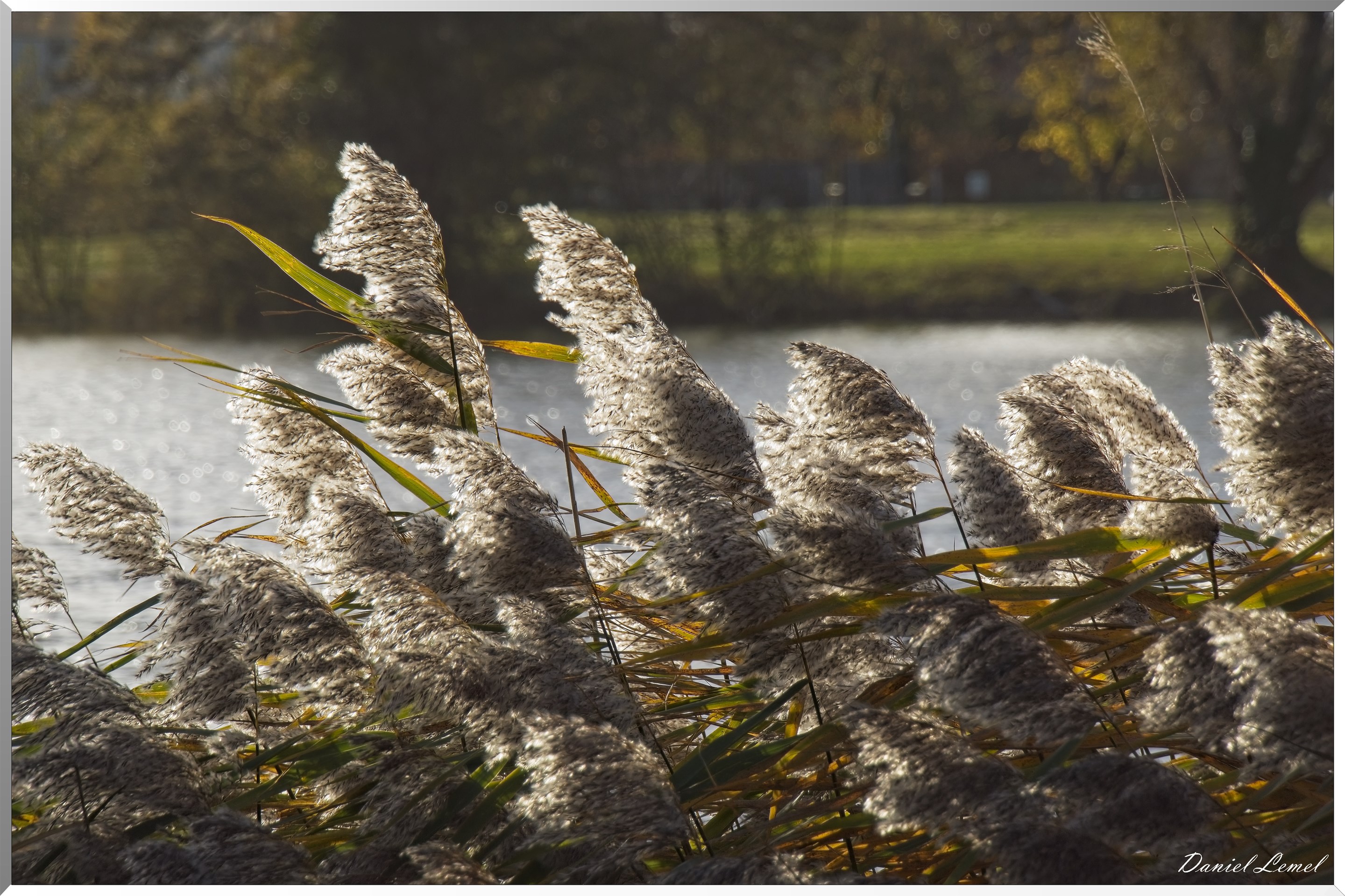 Pacy-sur-Eure
