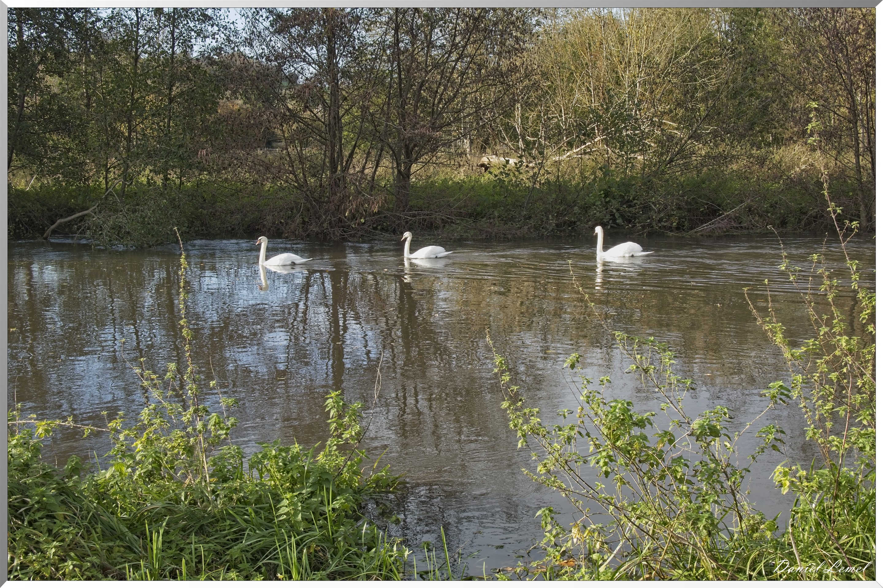 Pacy-sur-Eure