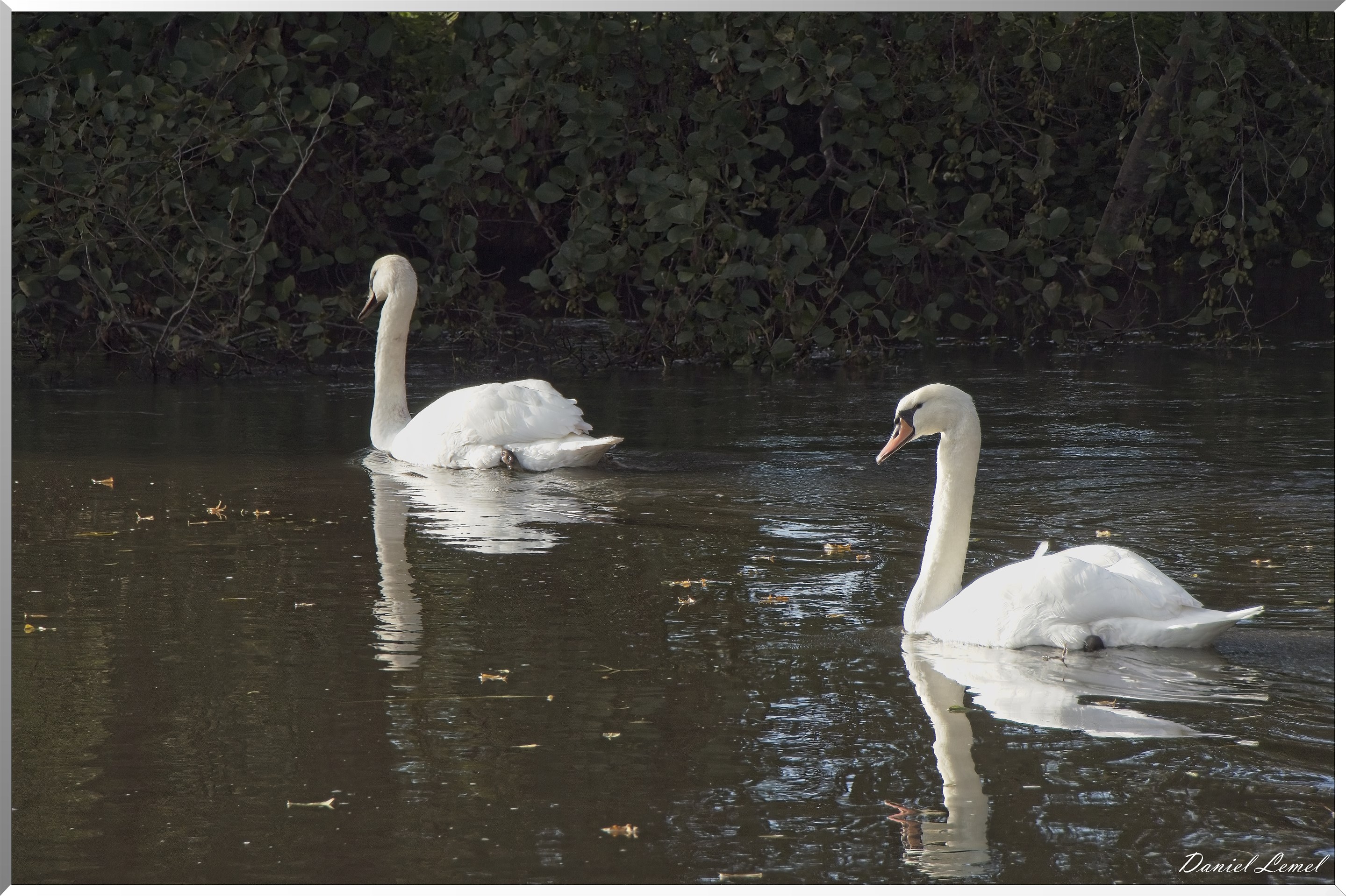 Pacy-sur-Eure
