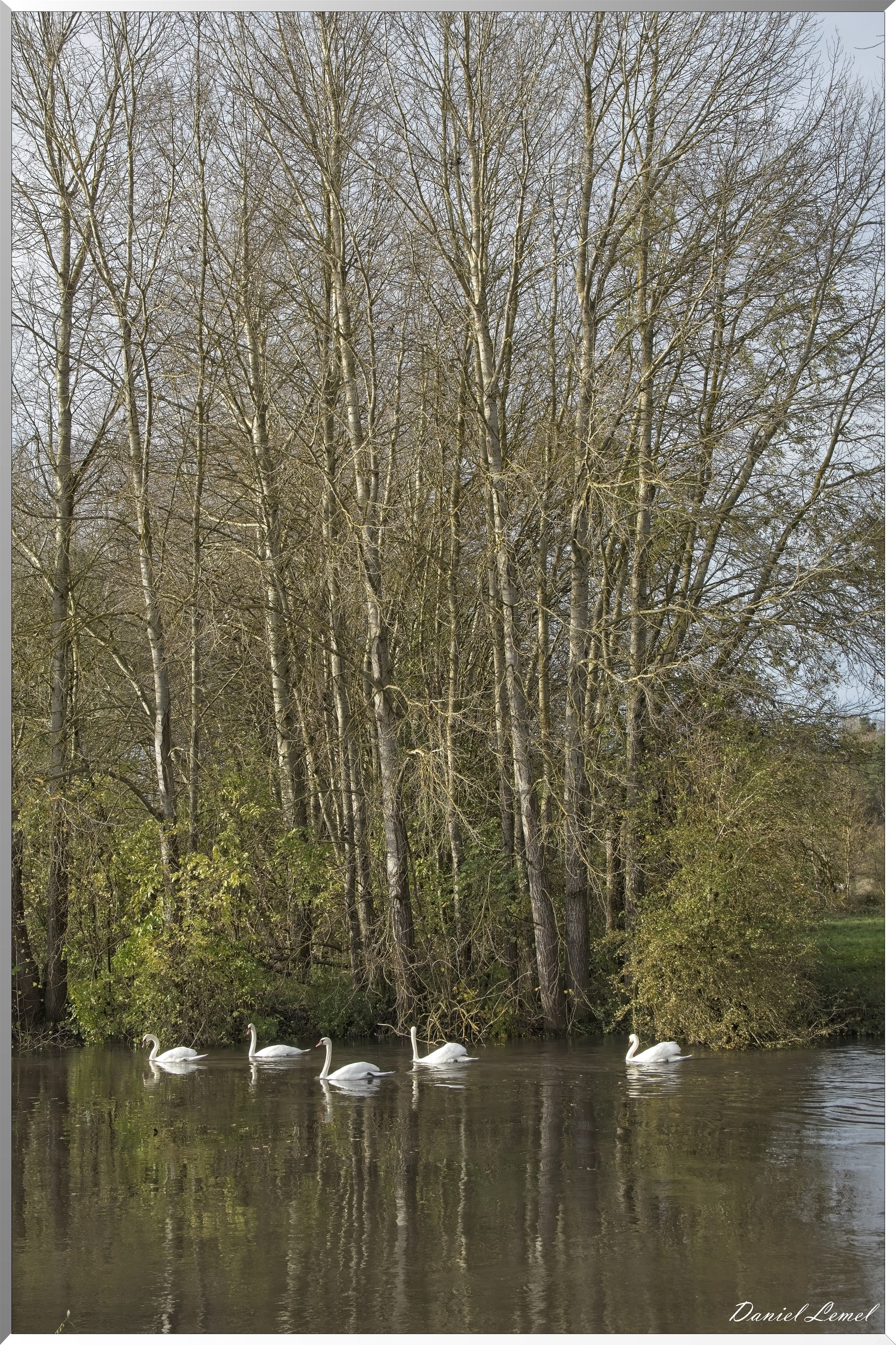 Pacy-sur-Eure