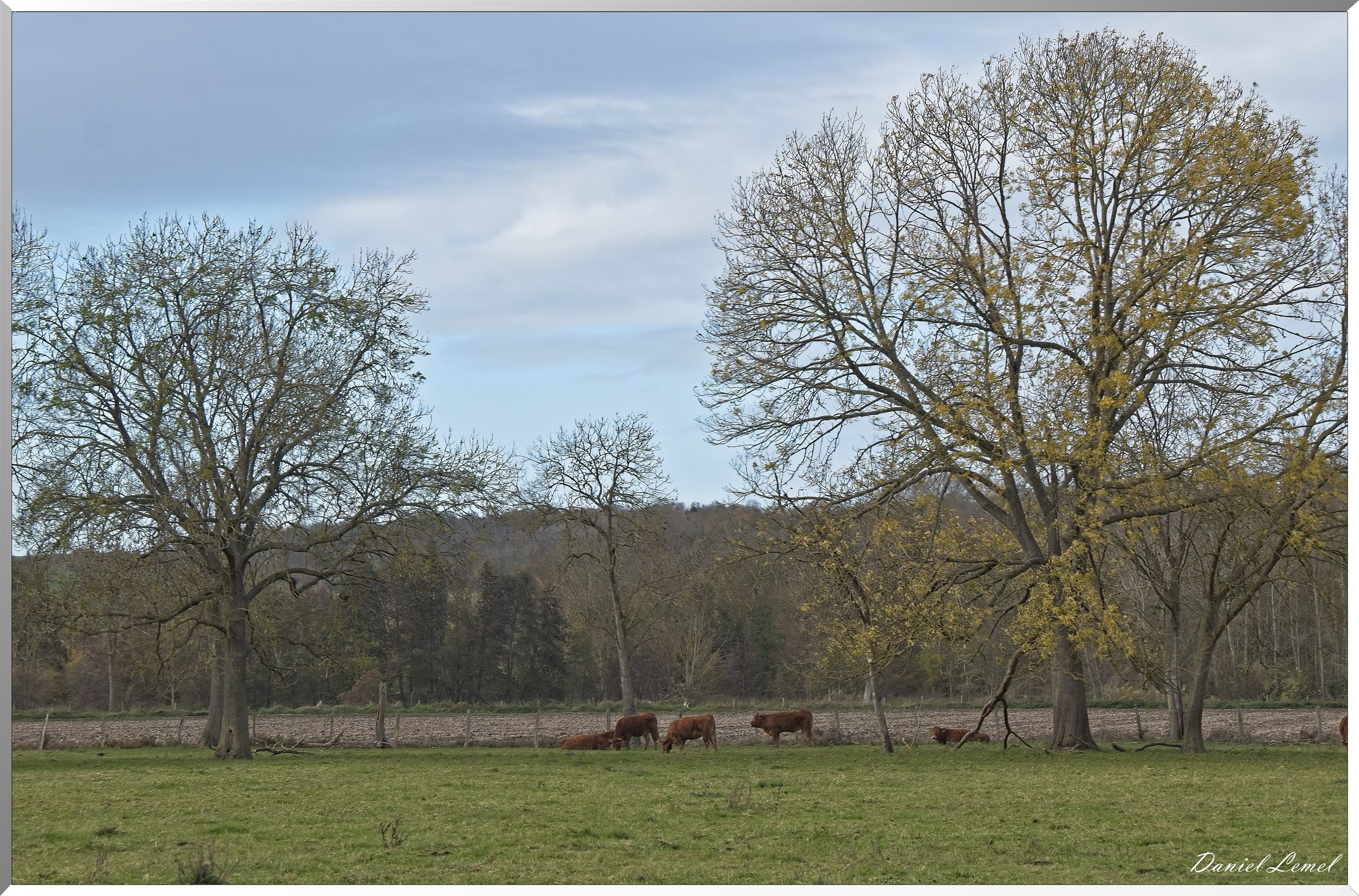 Pacy-sur-Eure
