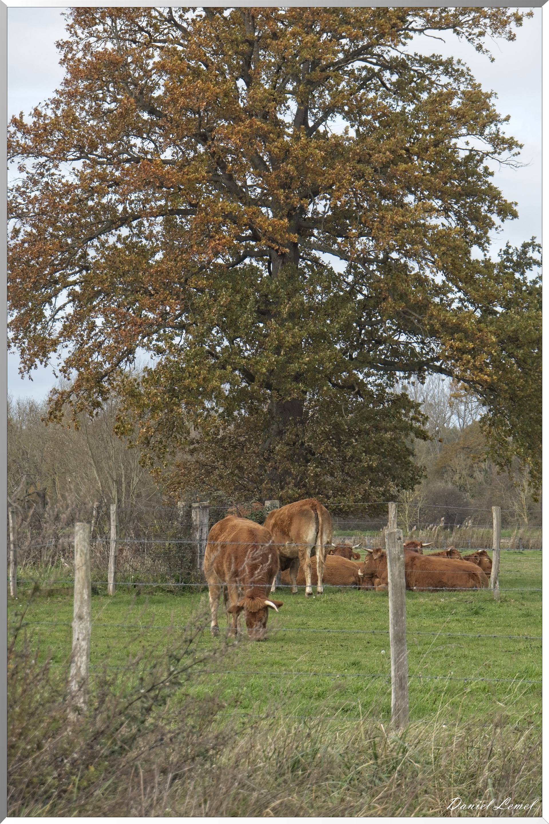 Pacy-sur-Eure