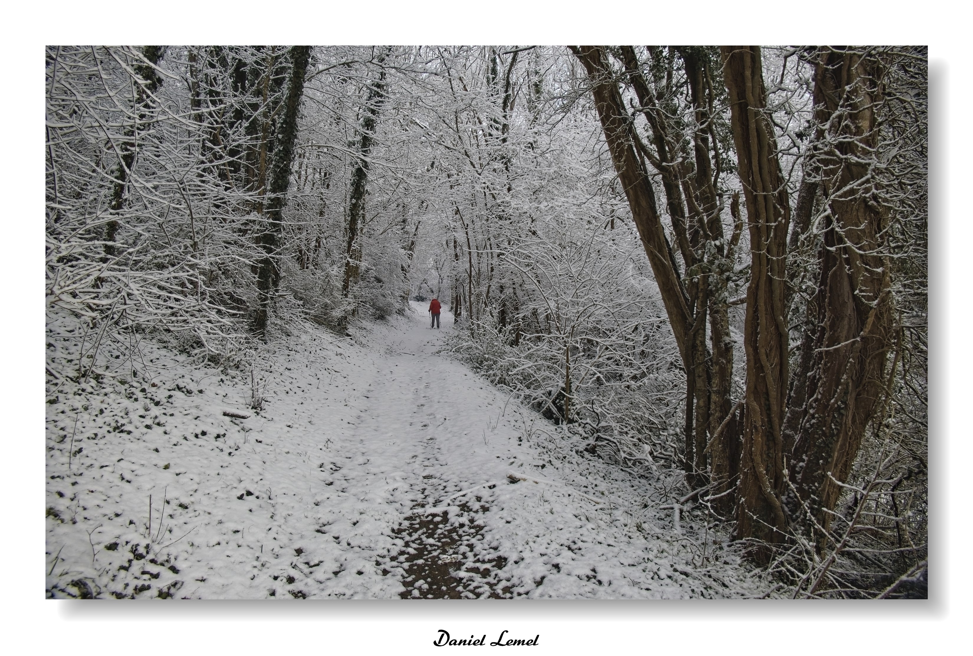 Dormont-Le-goulet