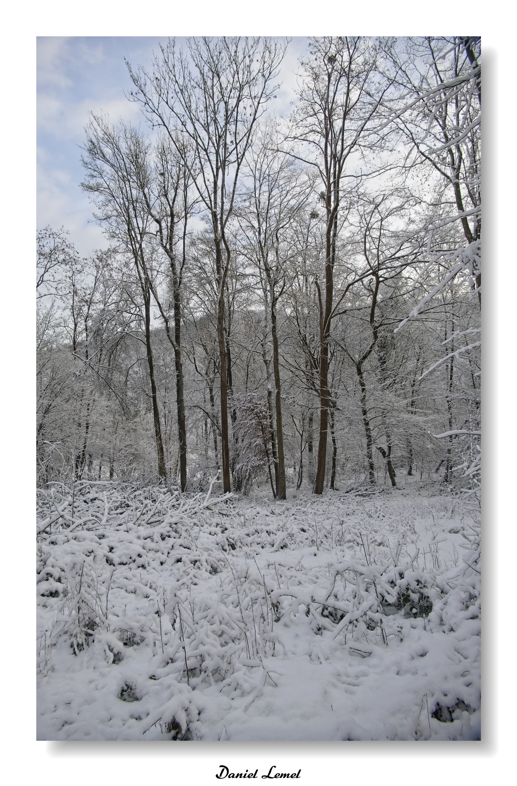 Dormont-Le-goulet