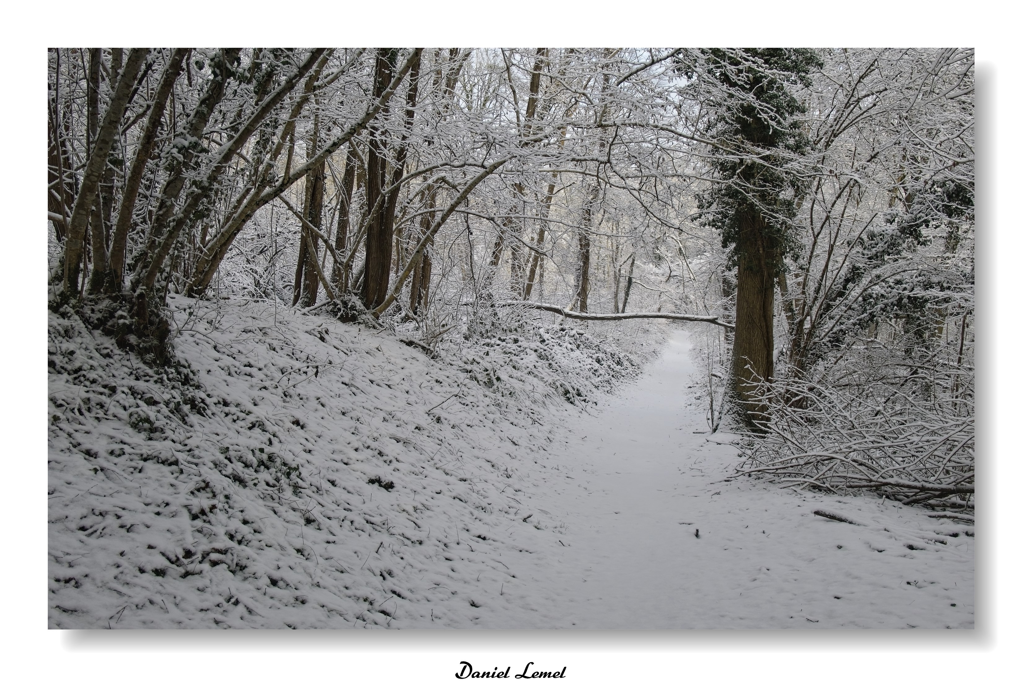 Dormont-Le-goulet