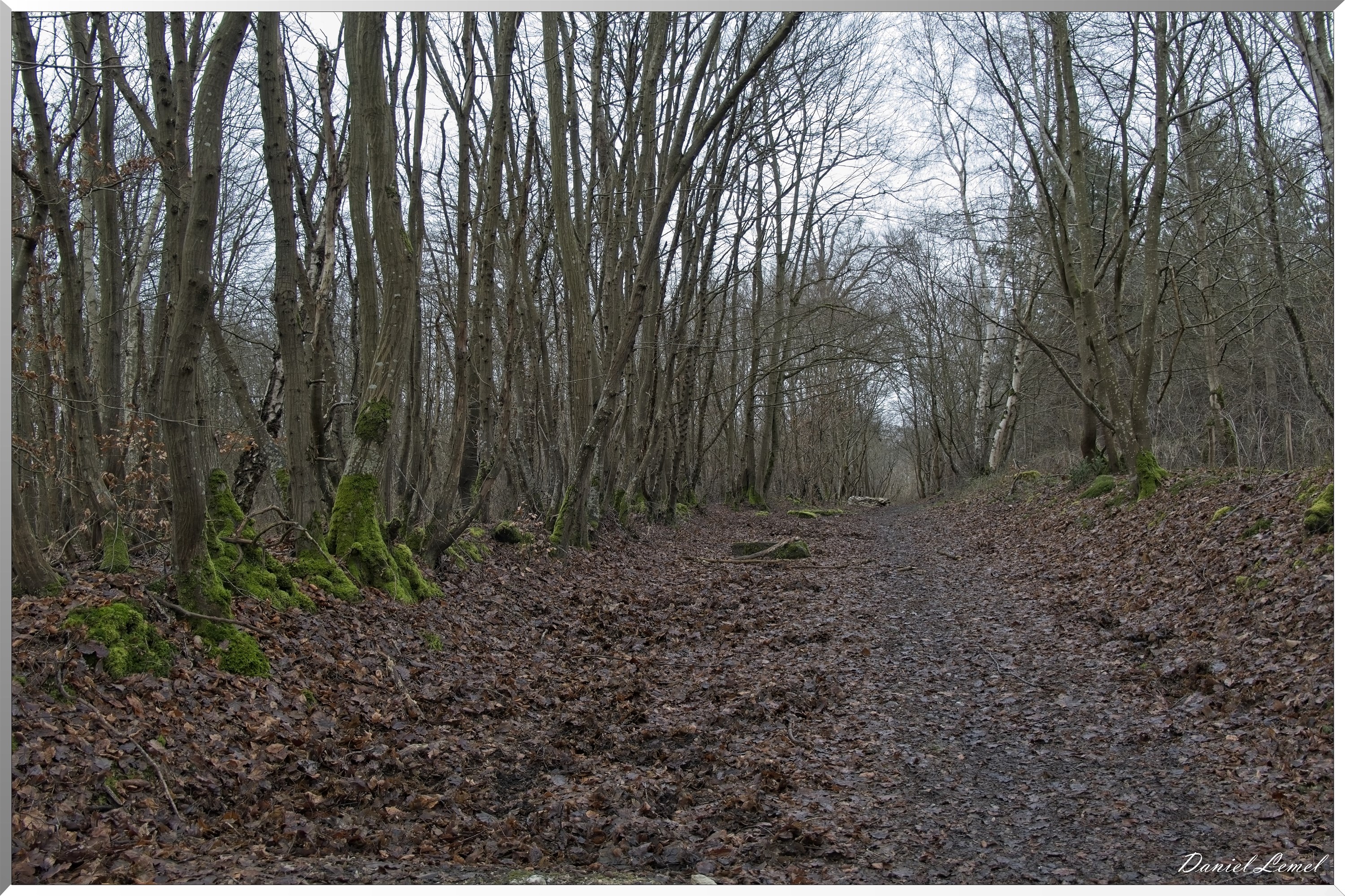Courcelles-sur-Seine