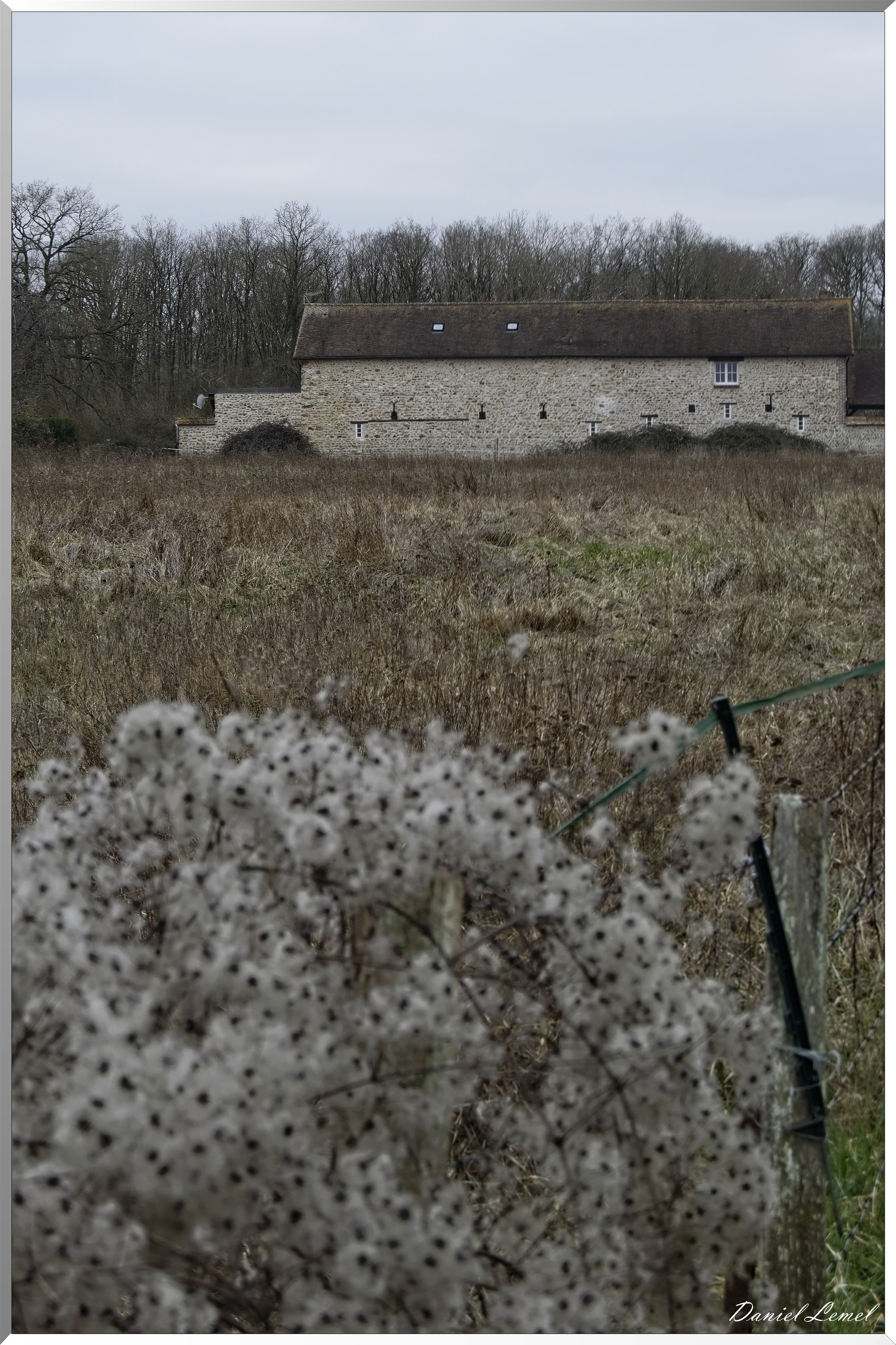 La-Chapelle-Réanville