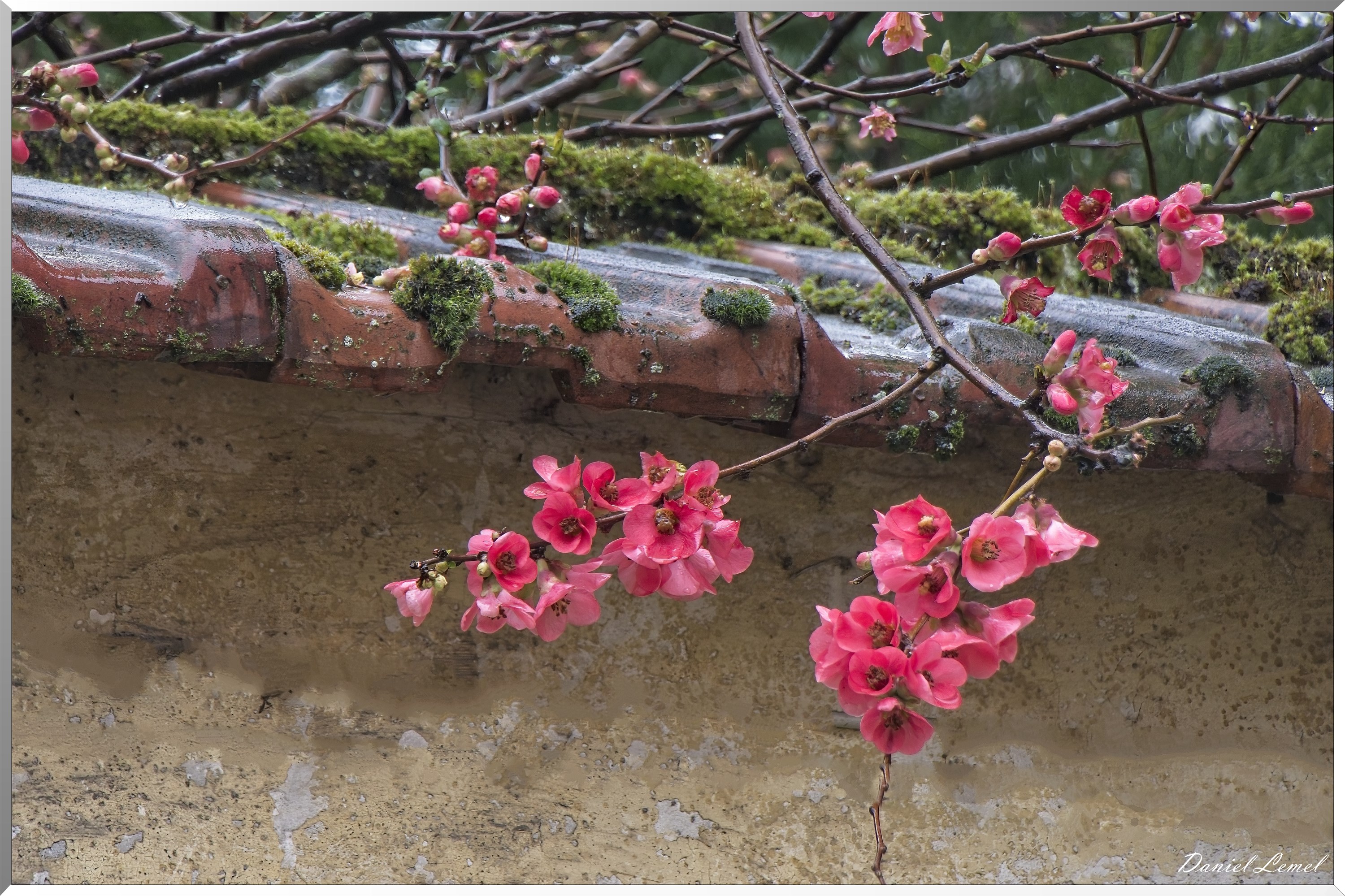 Mantes-la-Jolie
