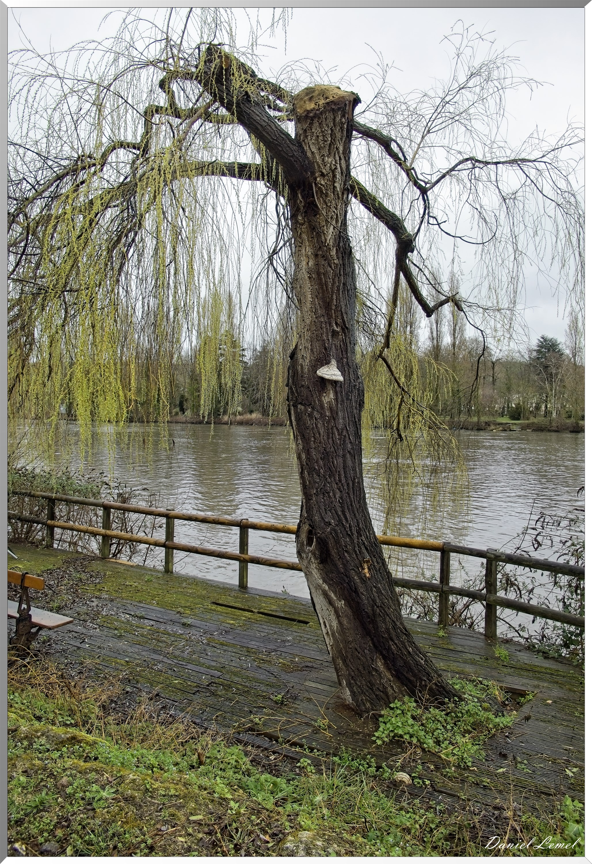 Mantes-la-Jolie