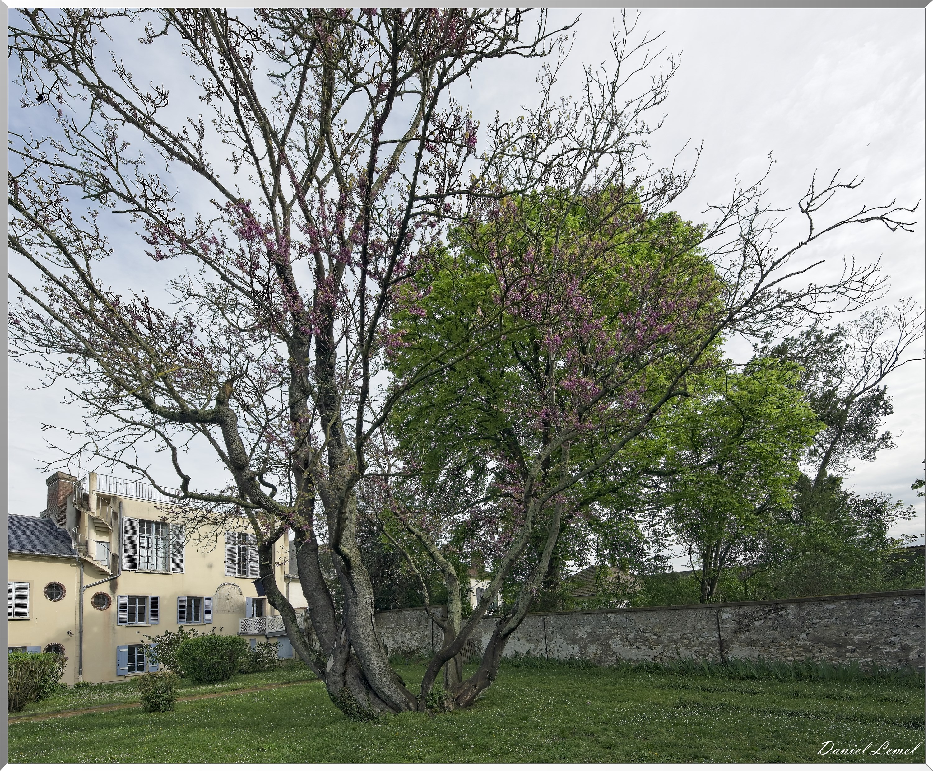 Maison-Agutte-Sembat