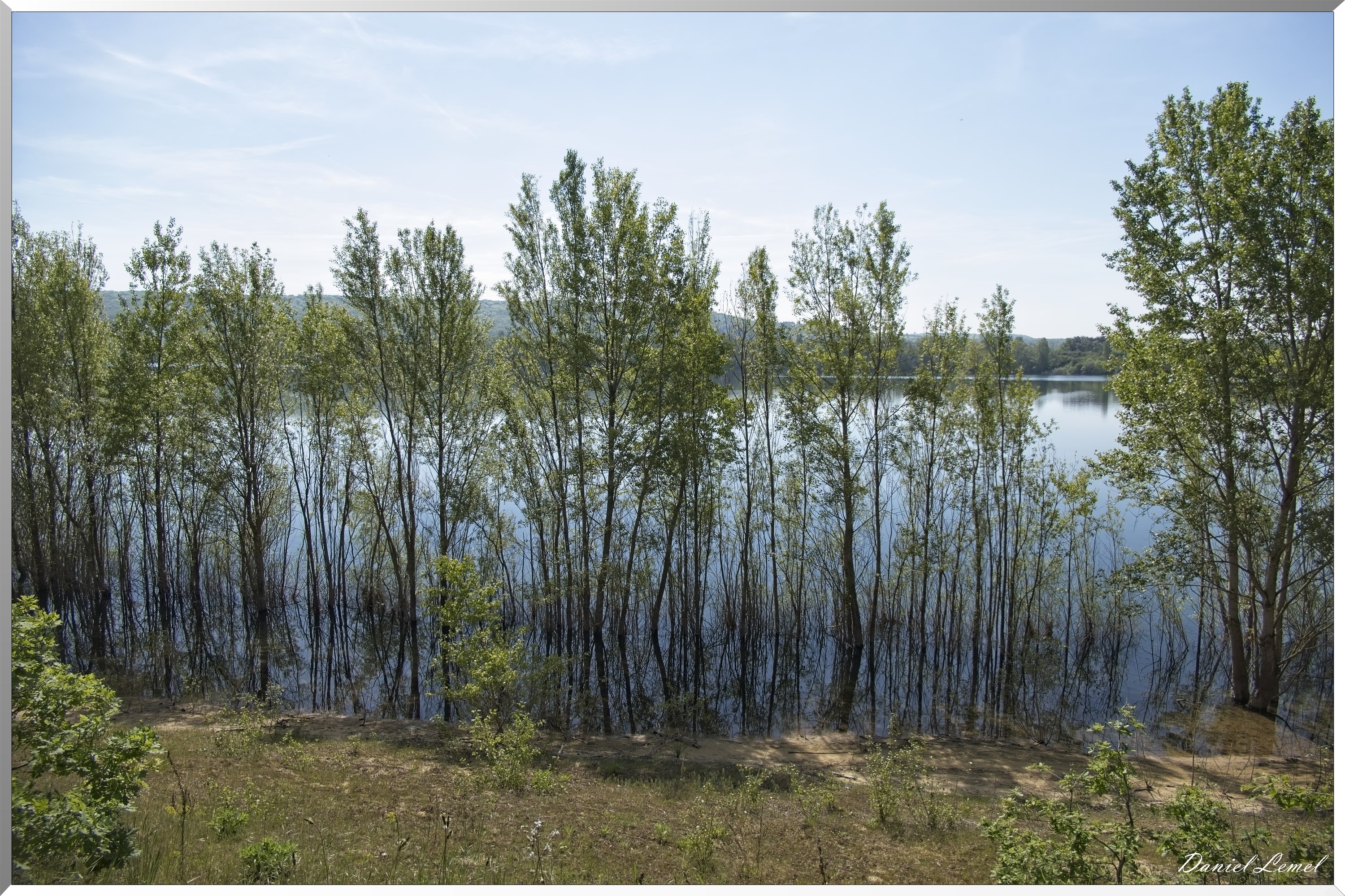 Moisson