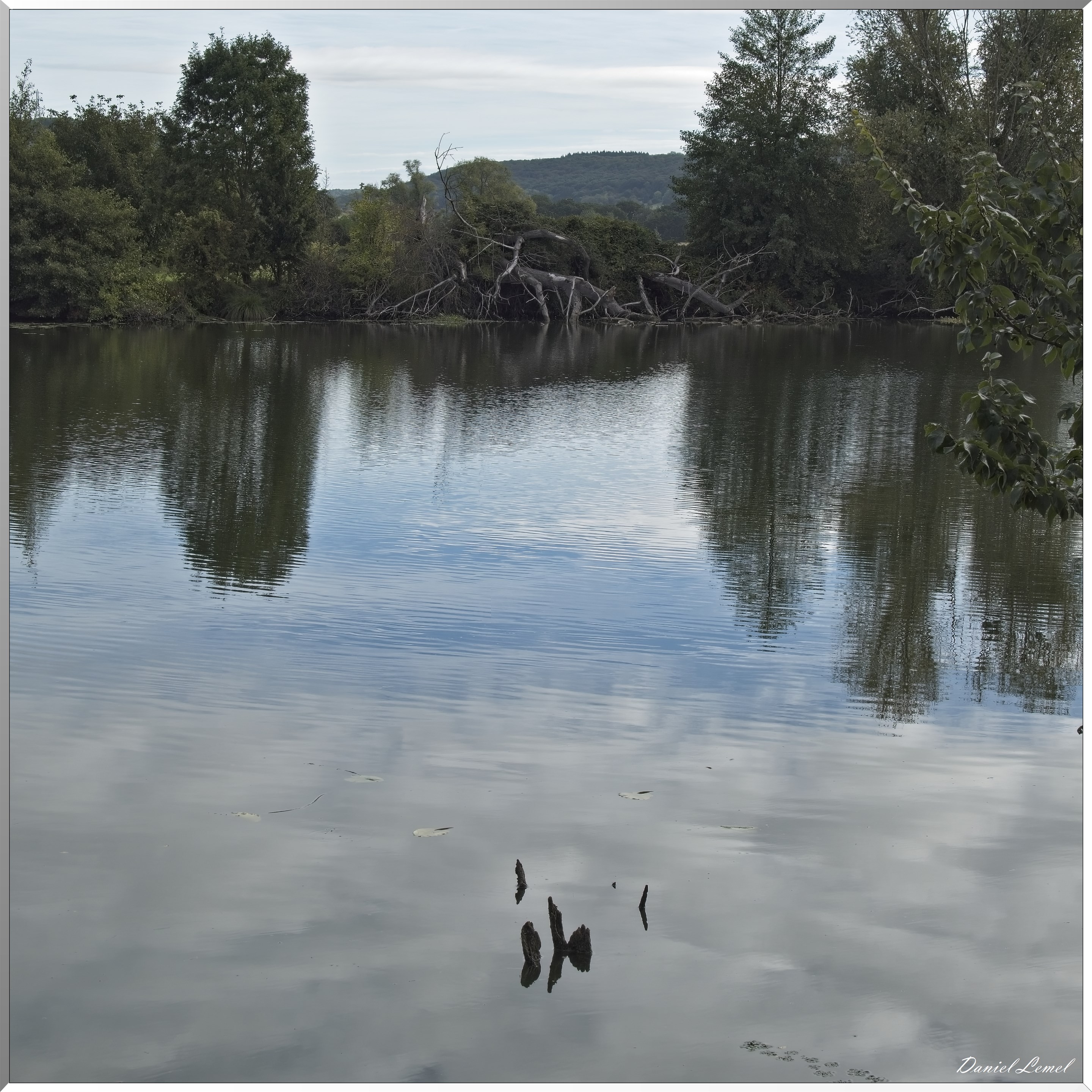 Le Goulet