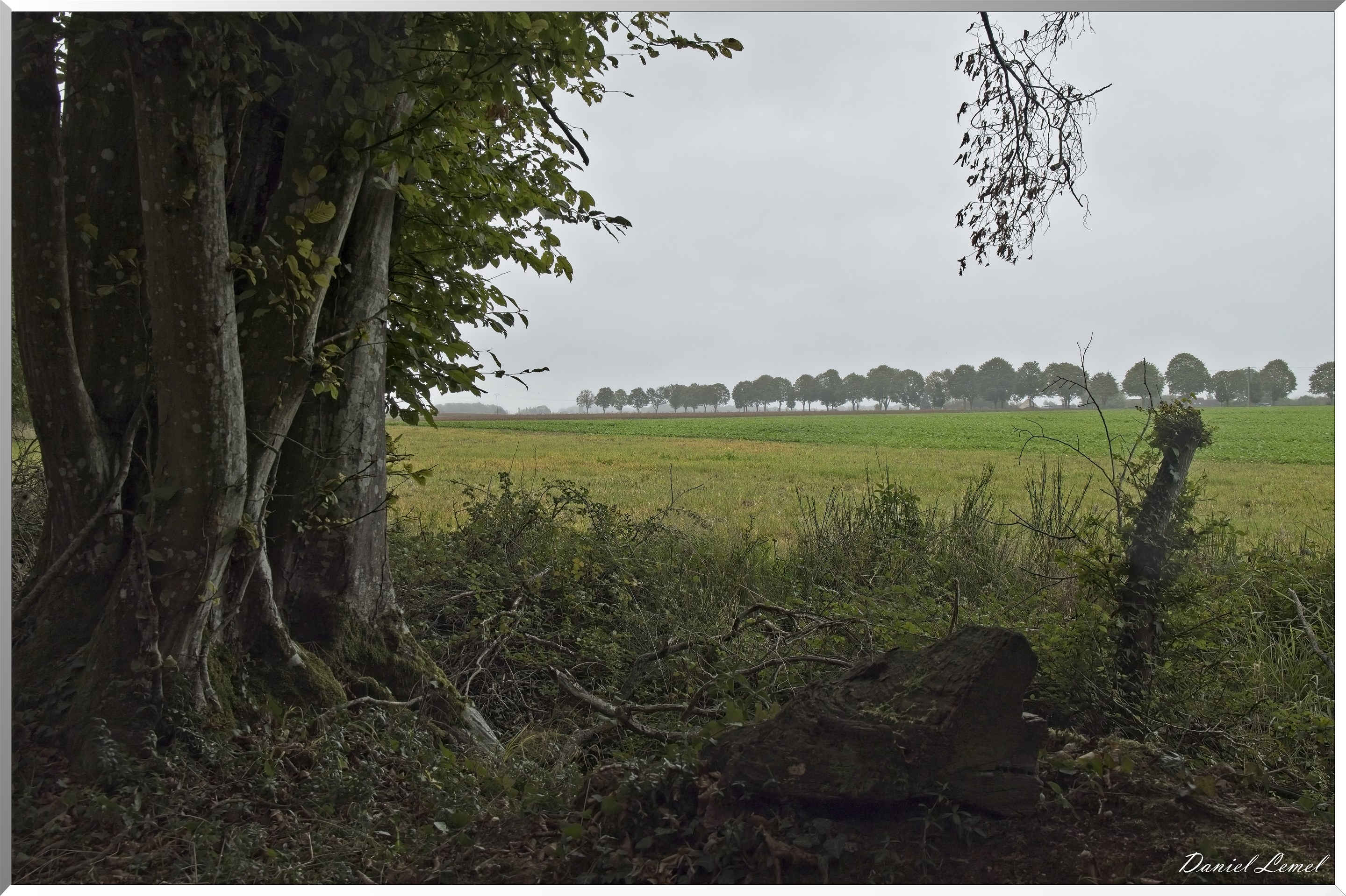 Pacy-sur-Eure