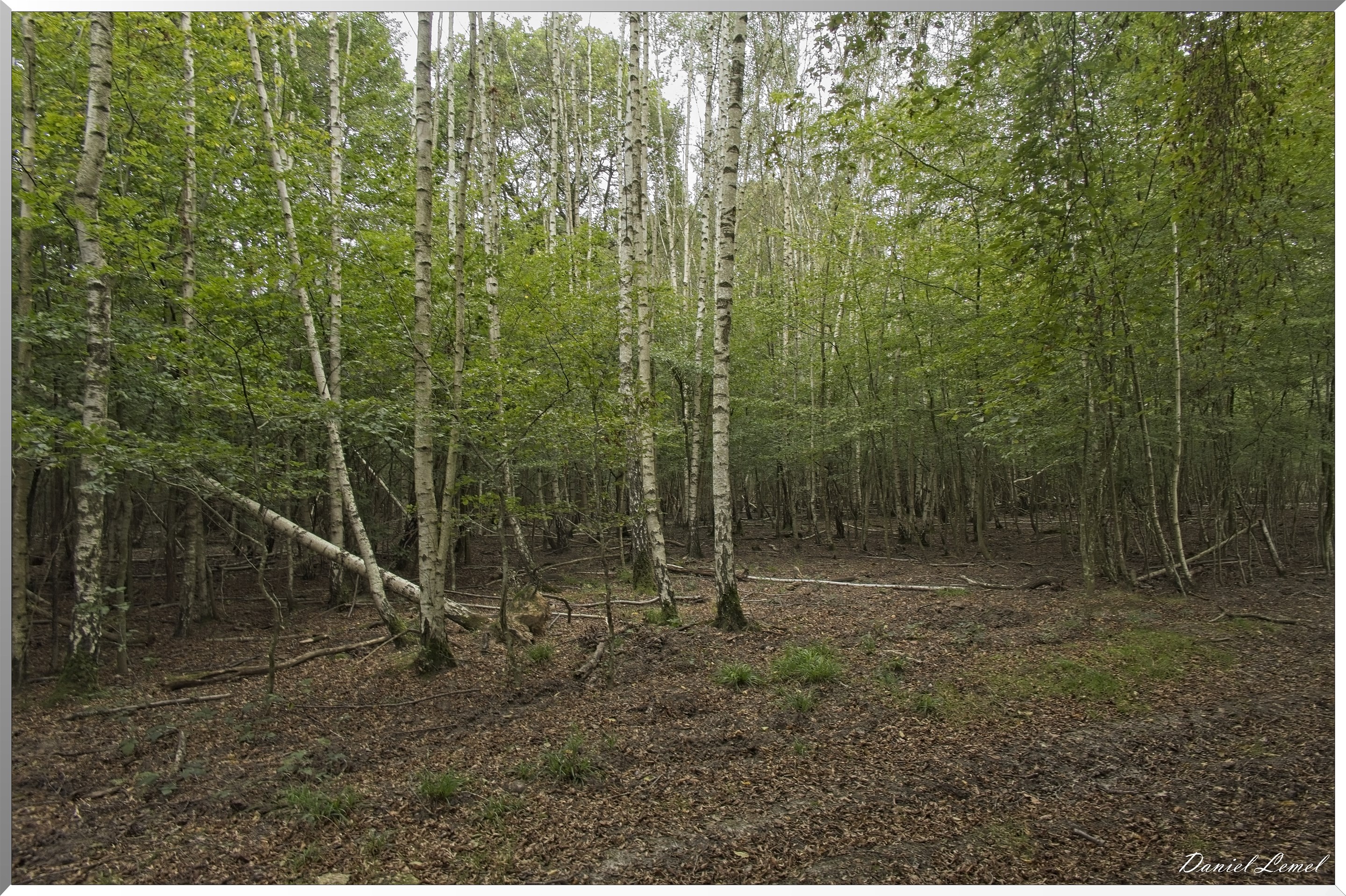 Pacy-sur-Eure