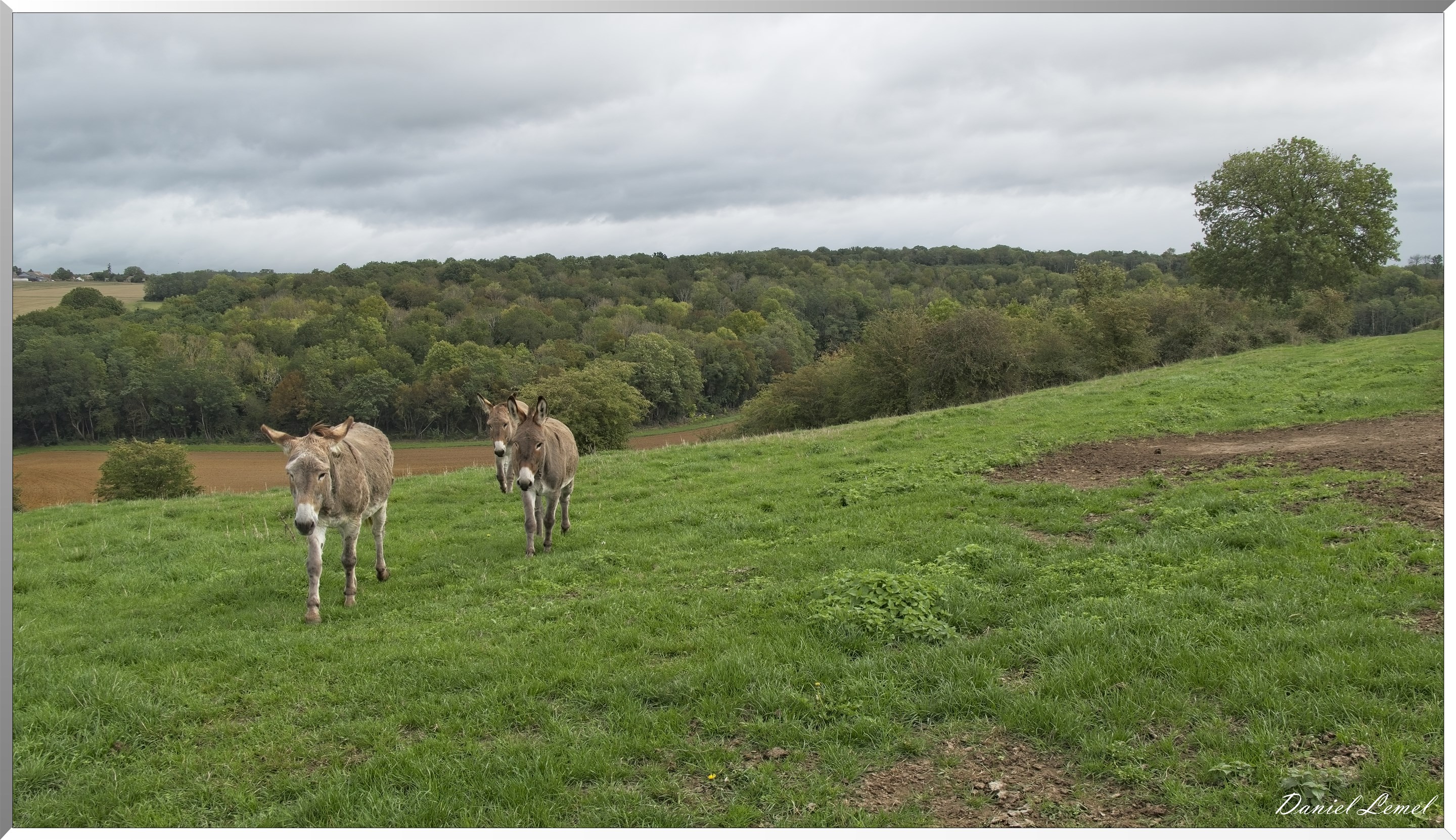 Pacy-sur-Eure