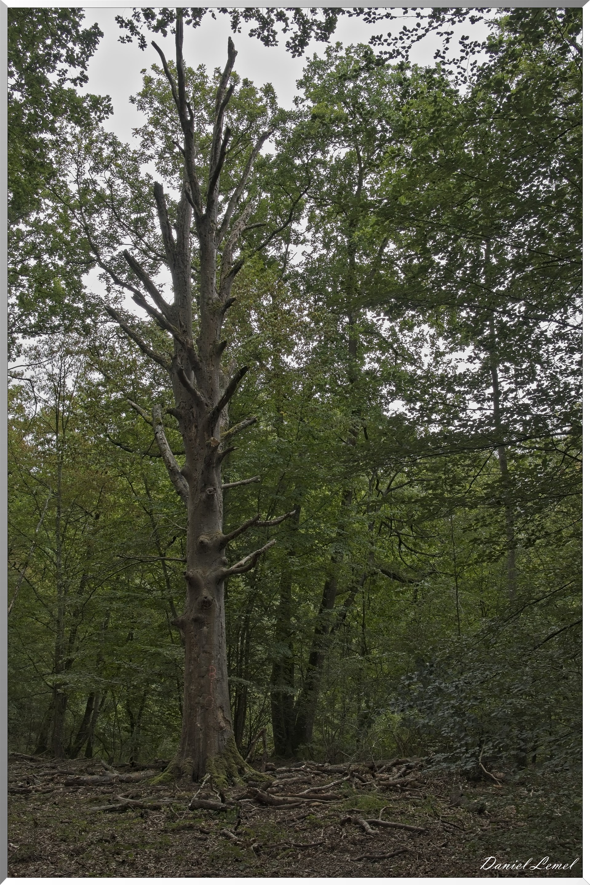 Pacy-sur-Eure