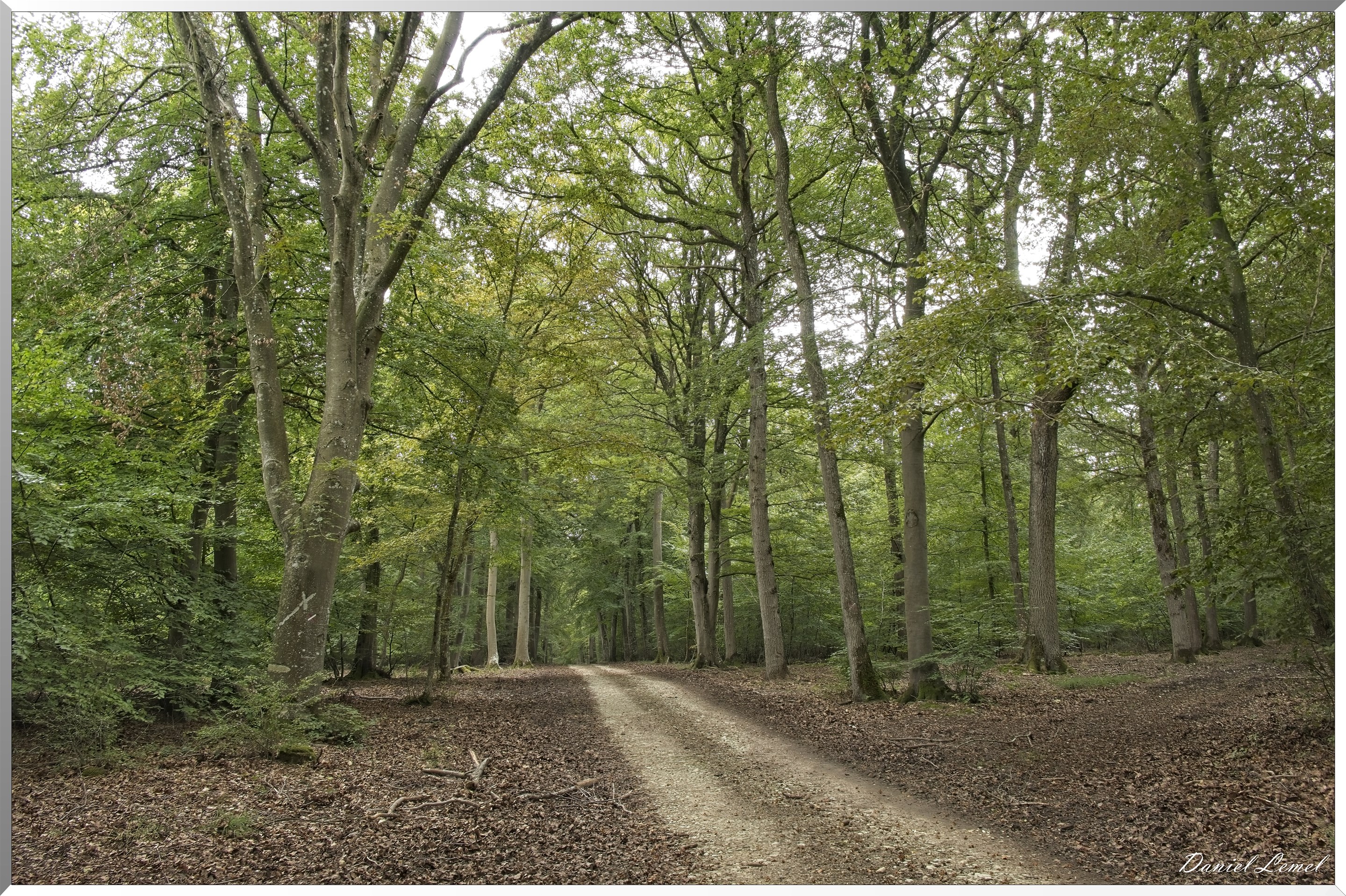 Pacy-sur-Eure