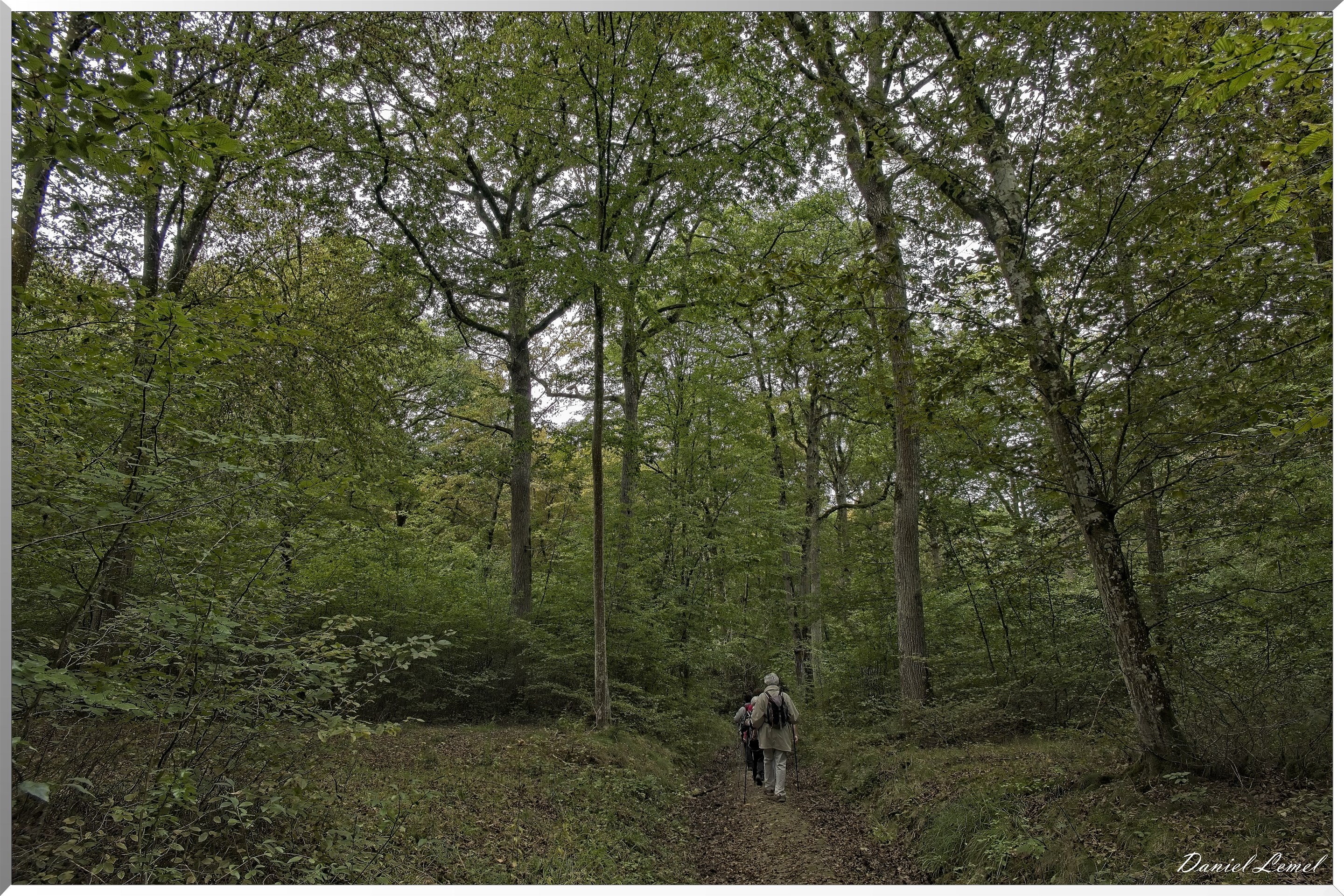 Pacy-sur-Eure
