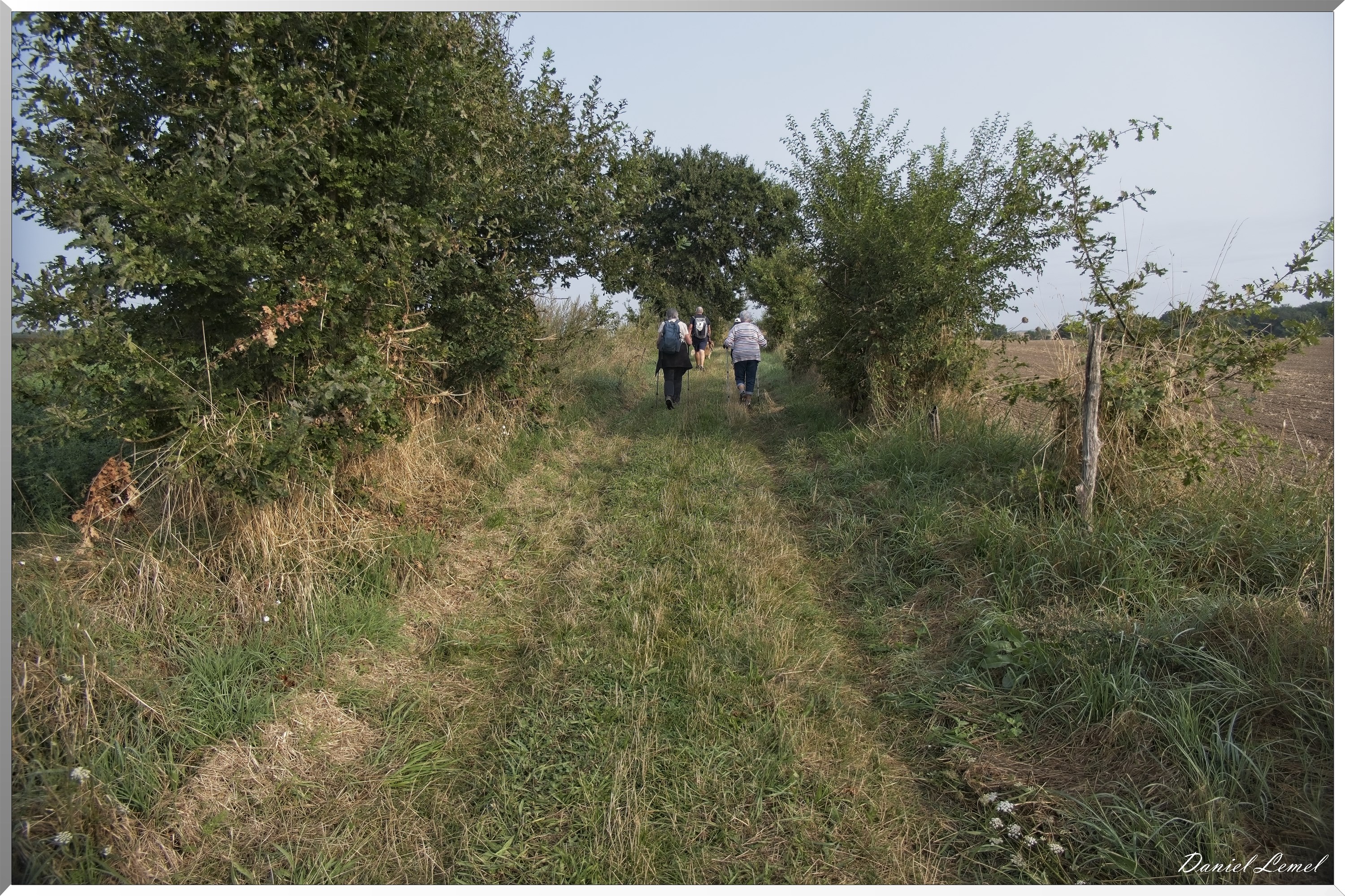 La-Chapelle-Réanville