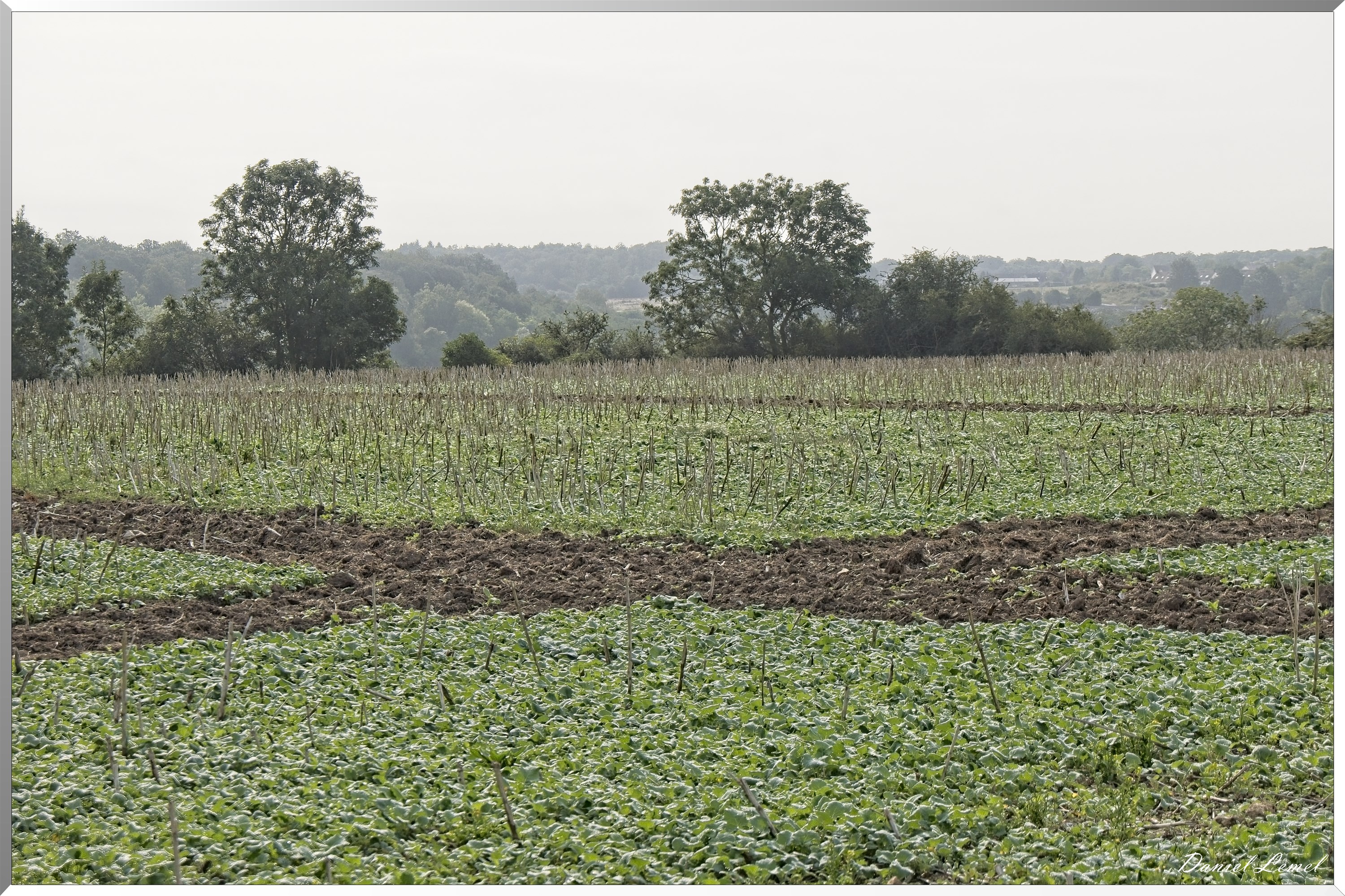 La-Chapelle-Réanville
