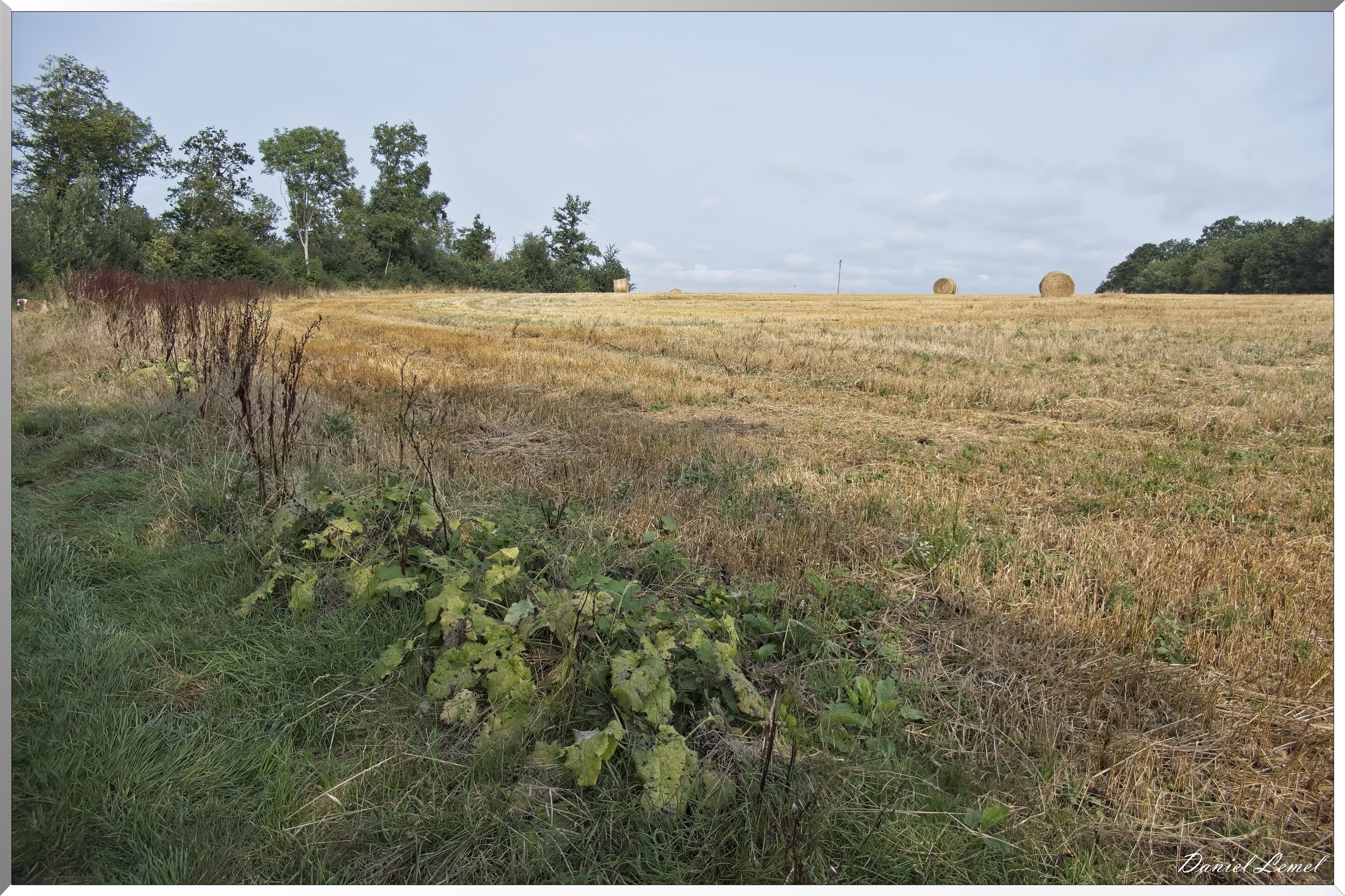La-Chapelle-Réanville