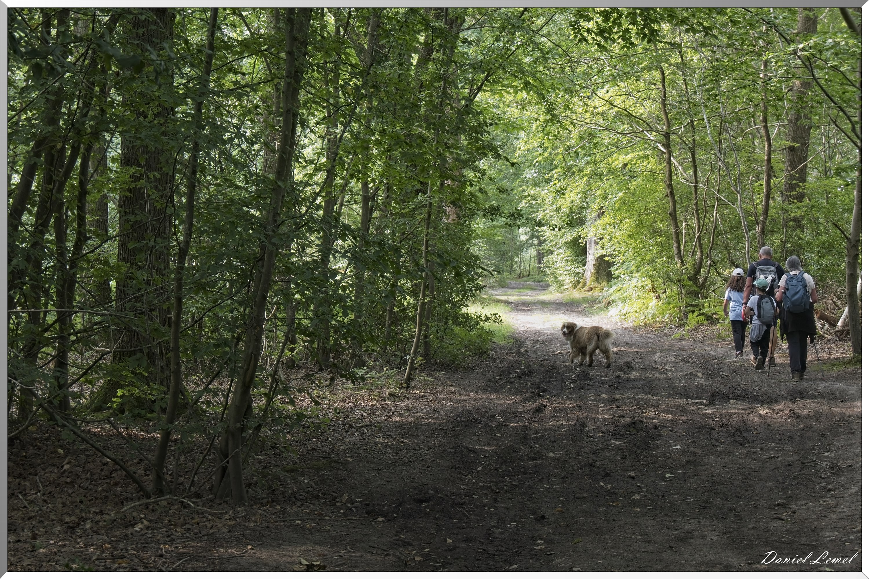 La-Chapelle-Réanville