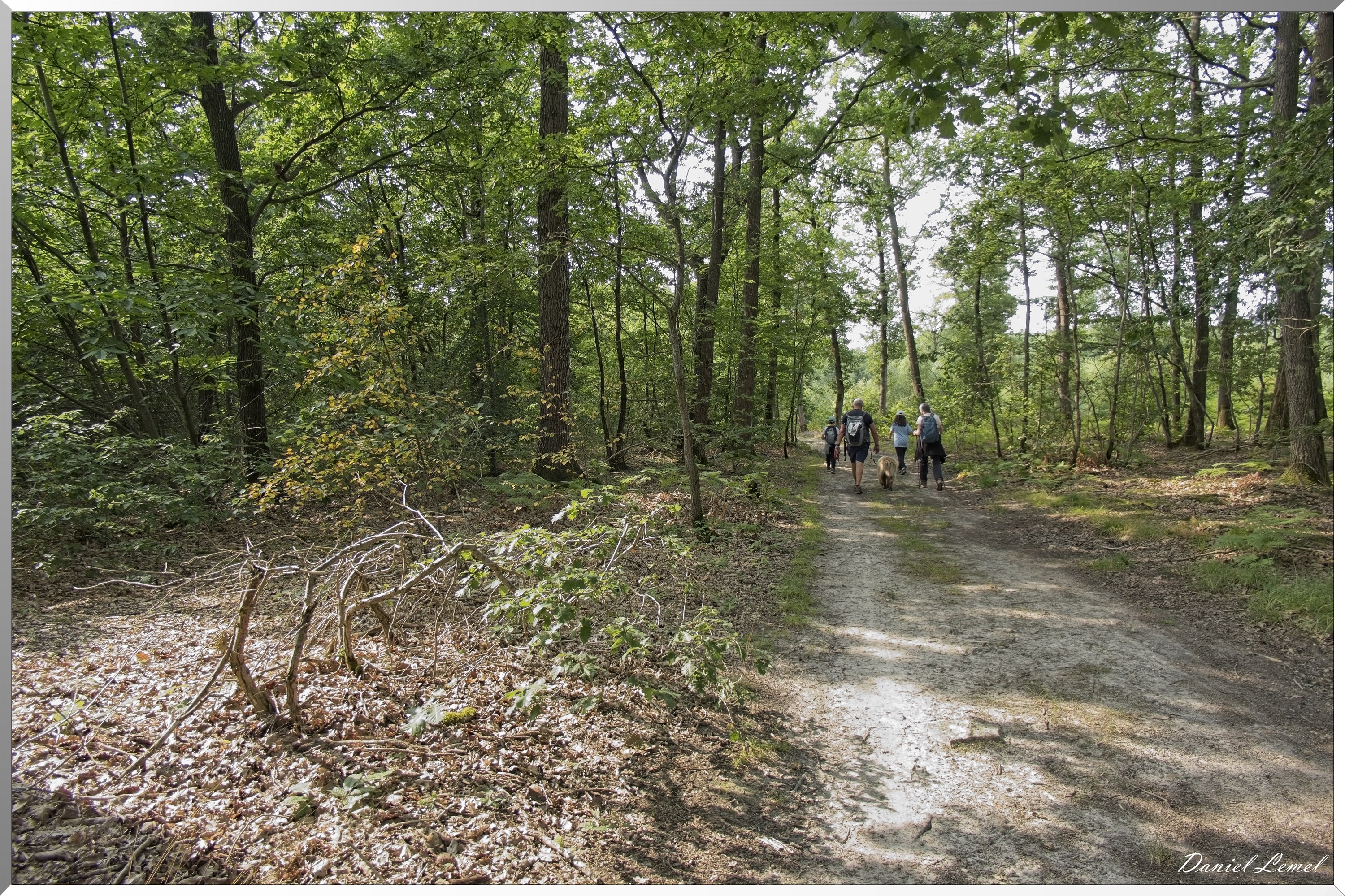 La-Chapelle-Réanville