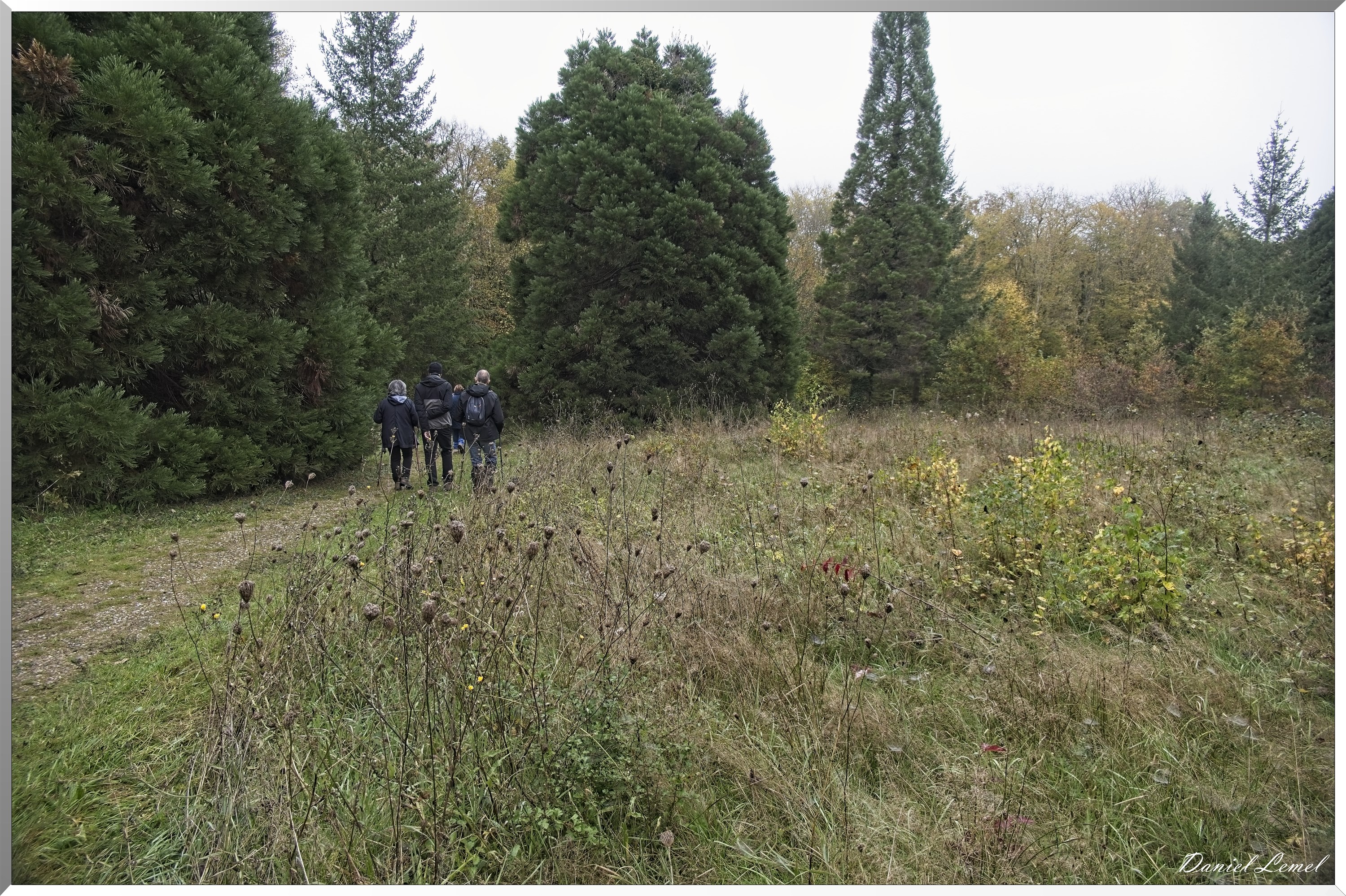 Arboretum de la Roche-Guyon