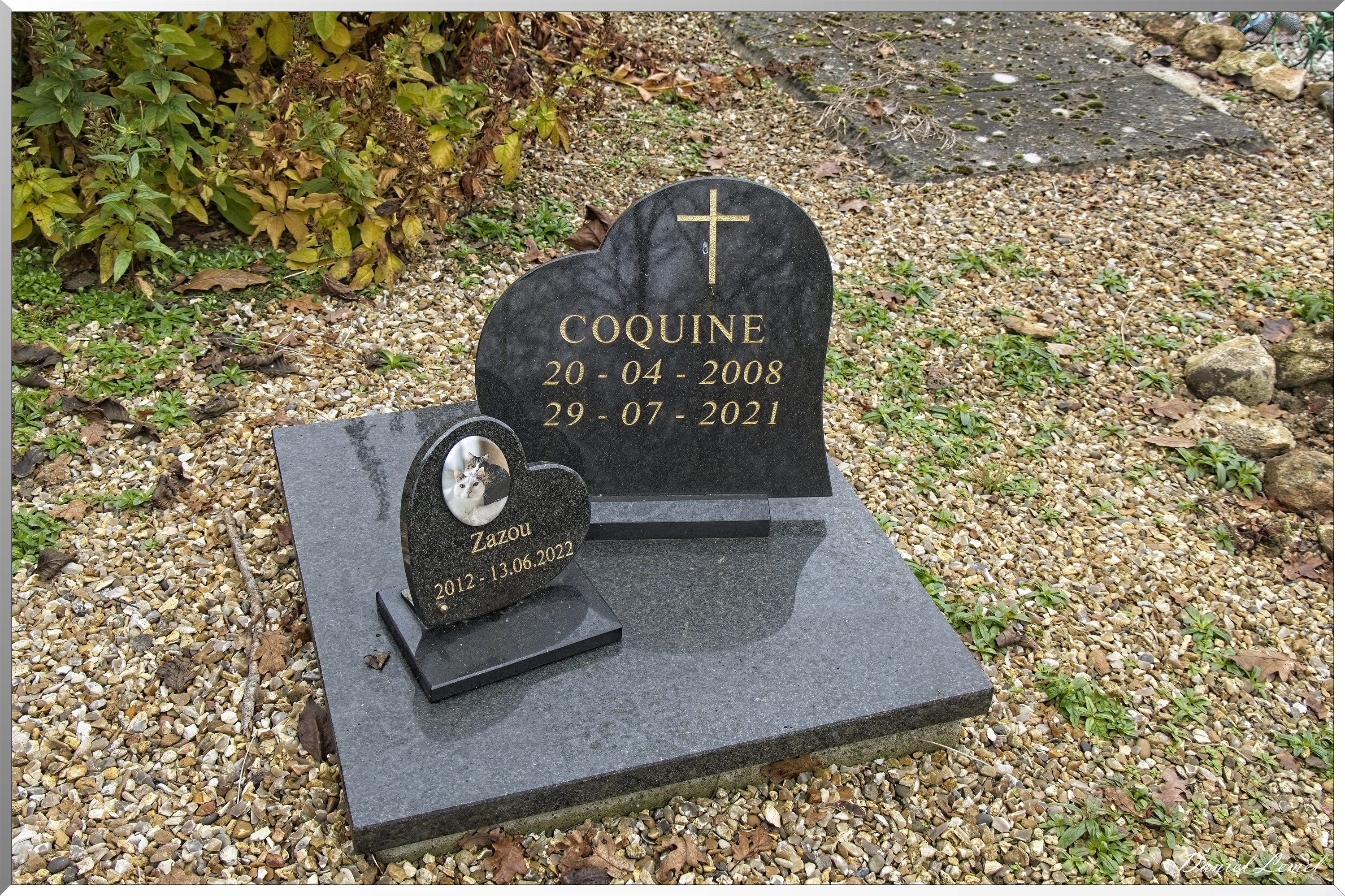 Douains