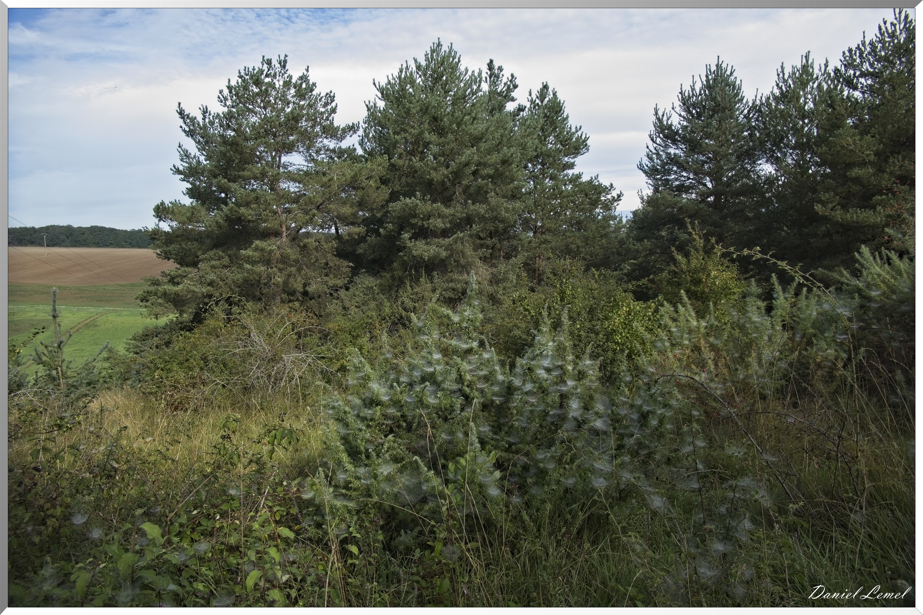 Jouy-sur-Eure