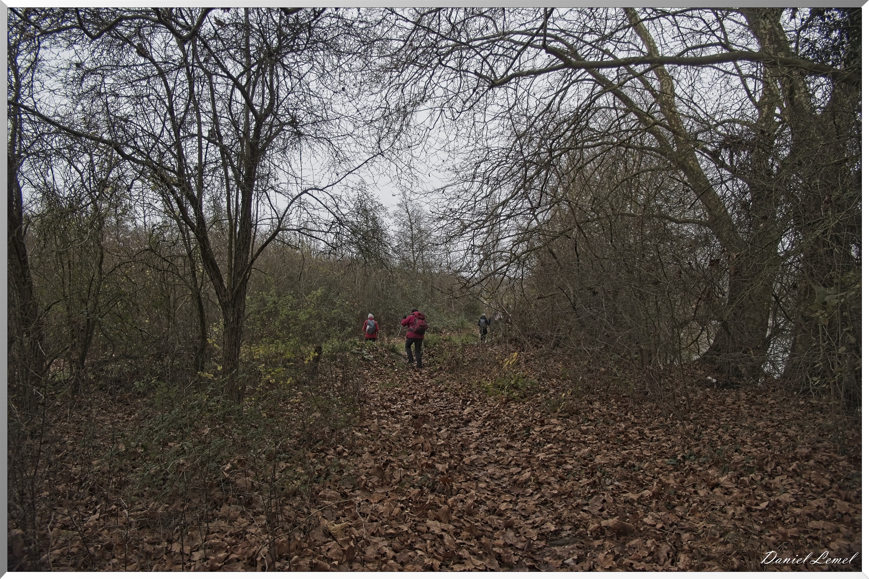Courcelles