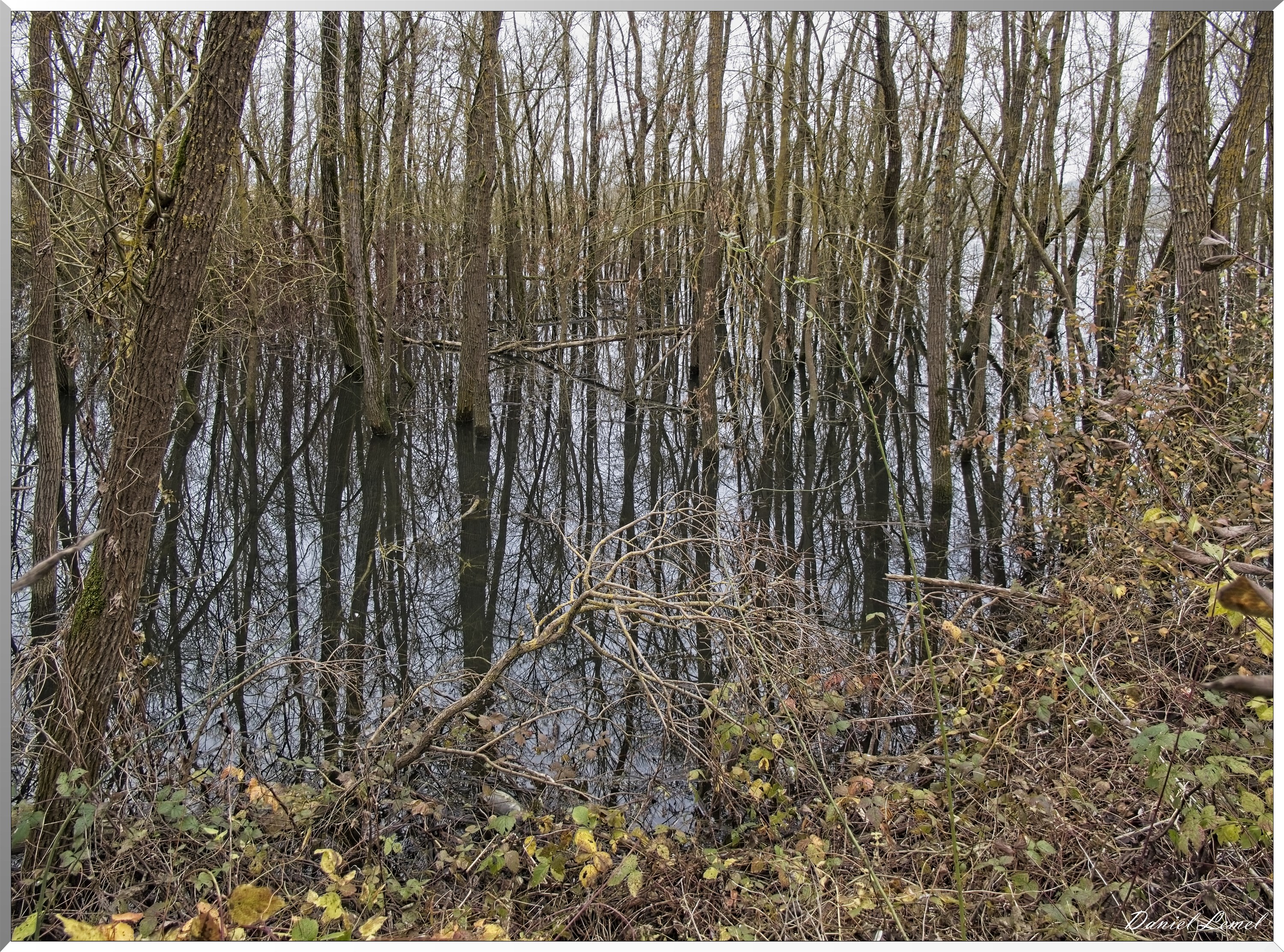 Courcelles
