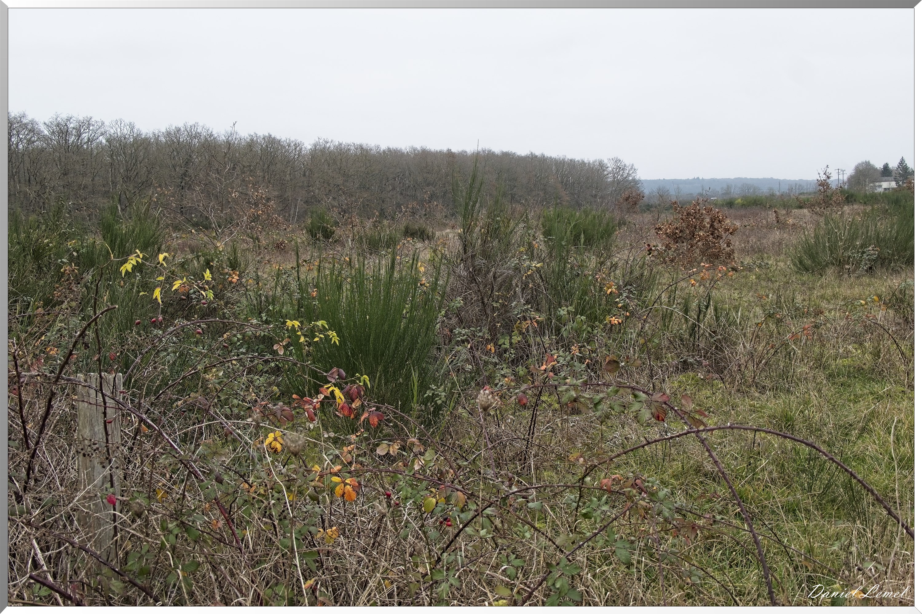 Courcelles