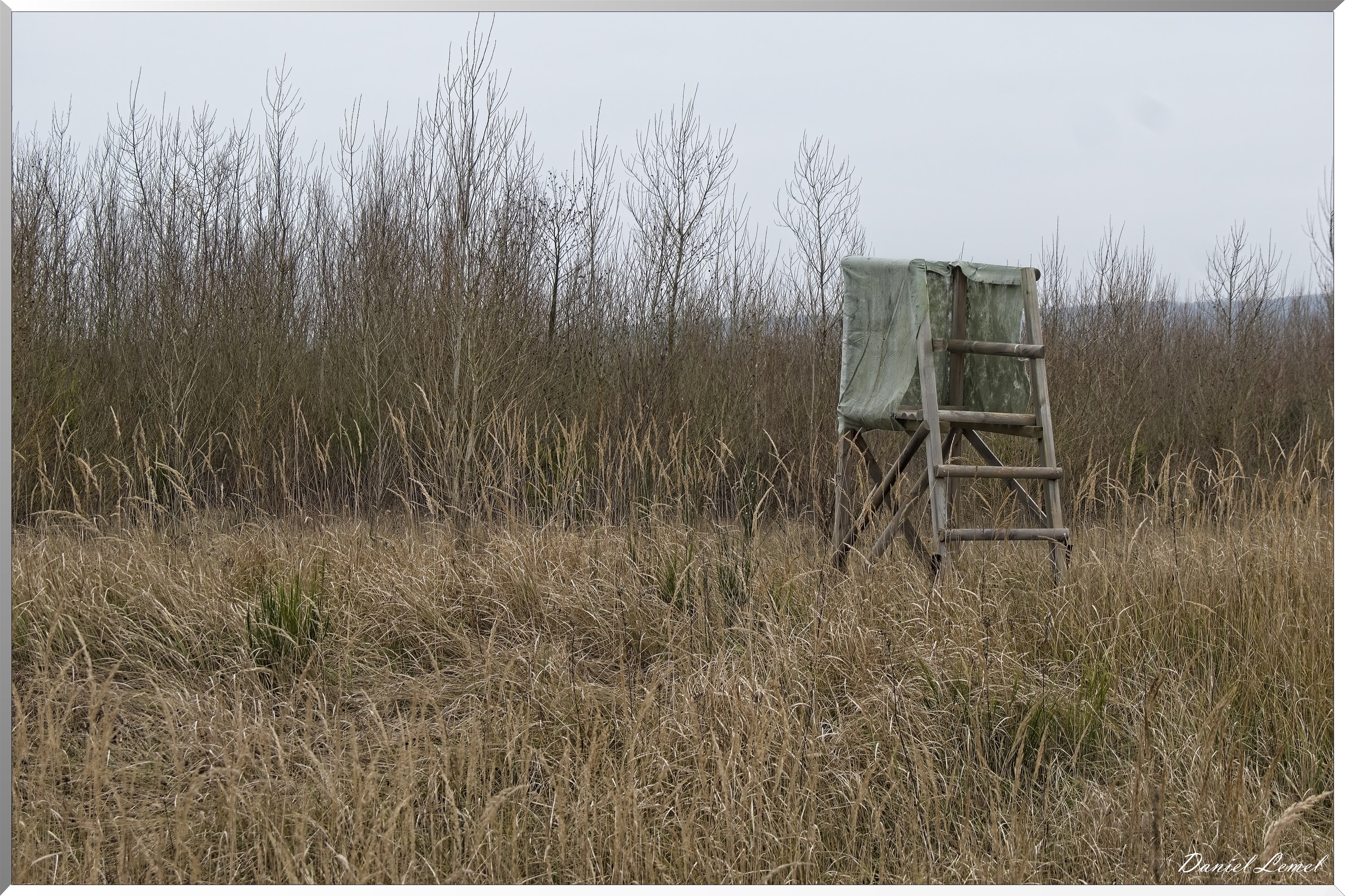 Courcelles