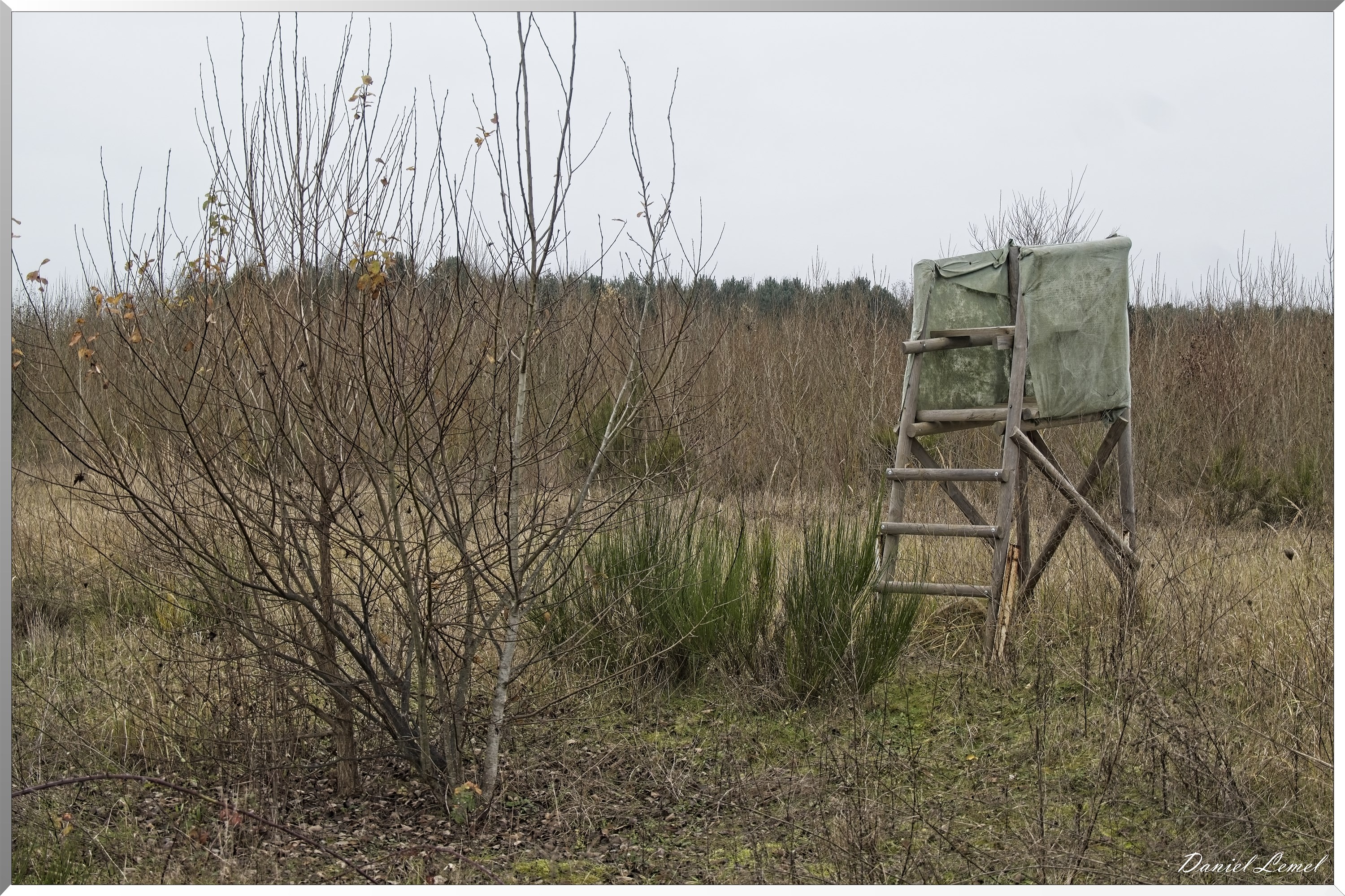 Courcelles
