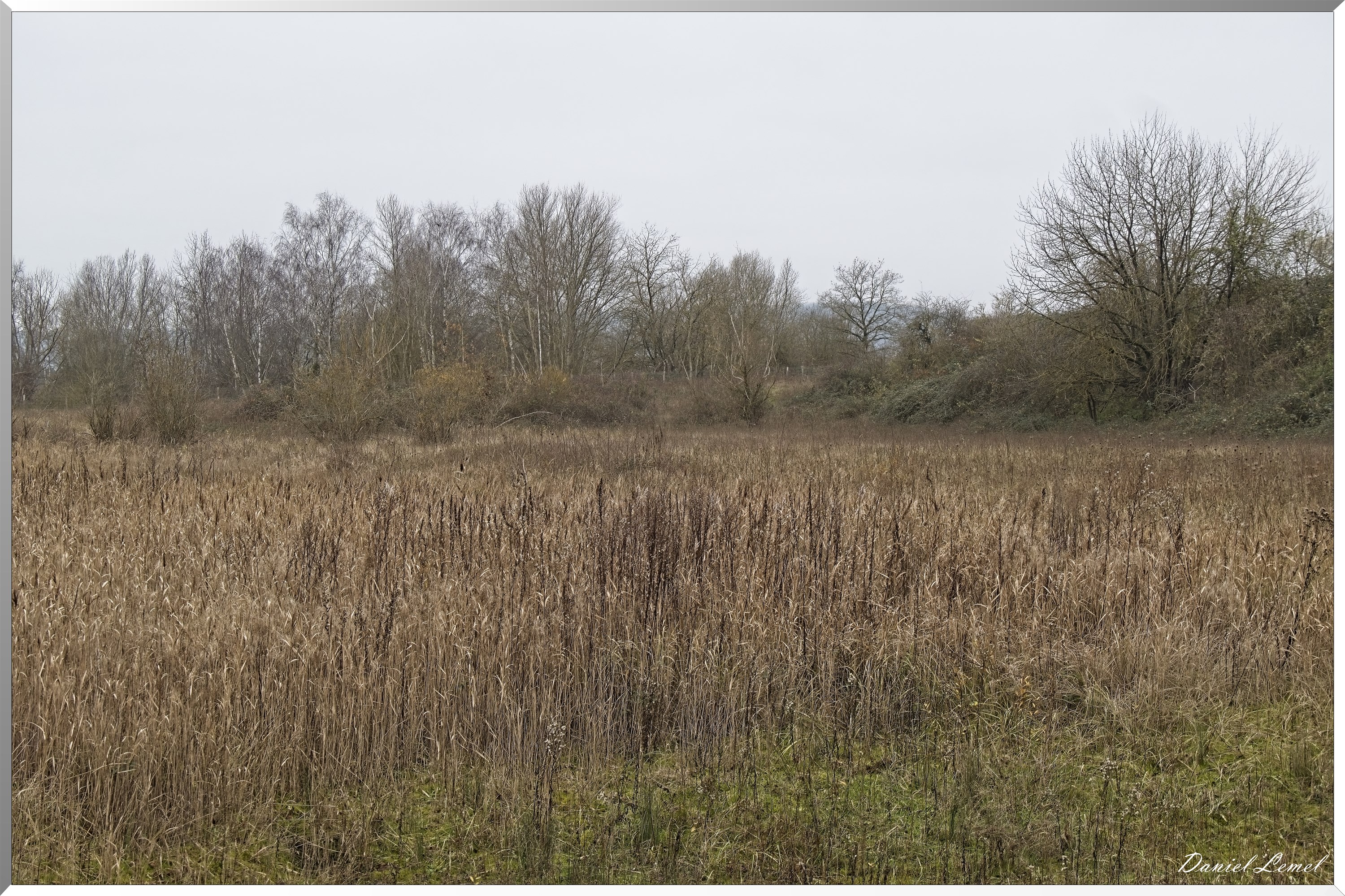 Courcelles