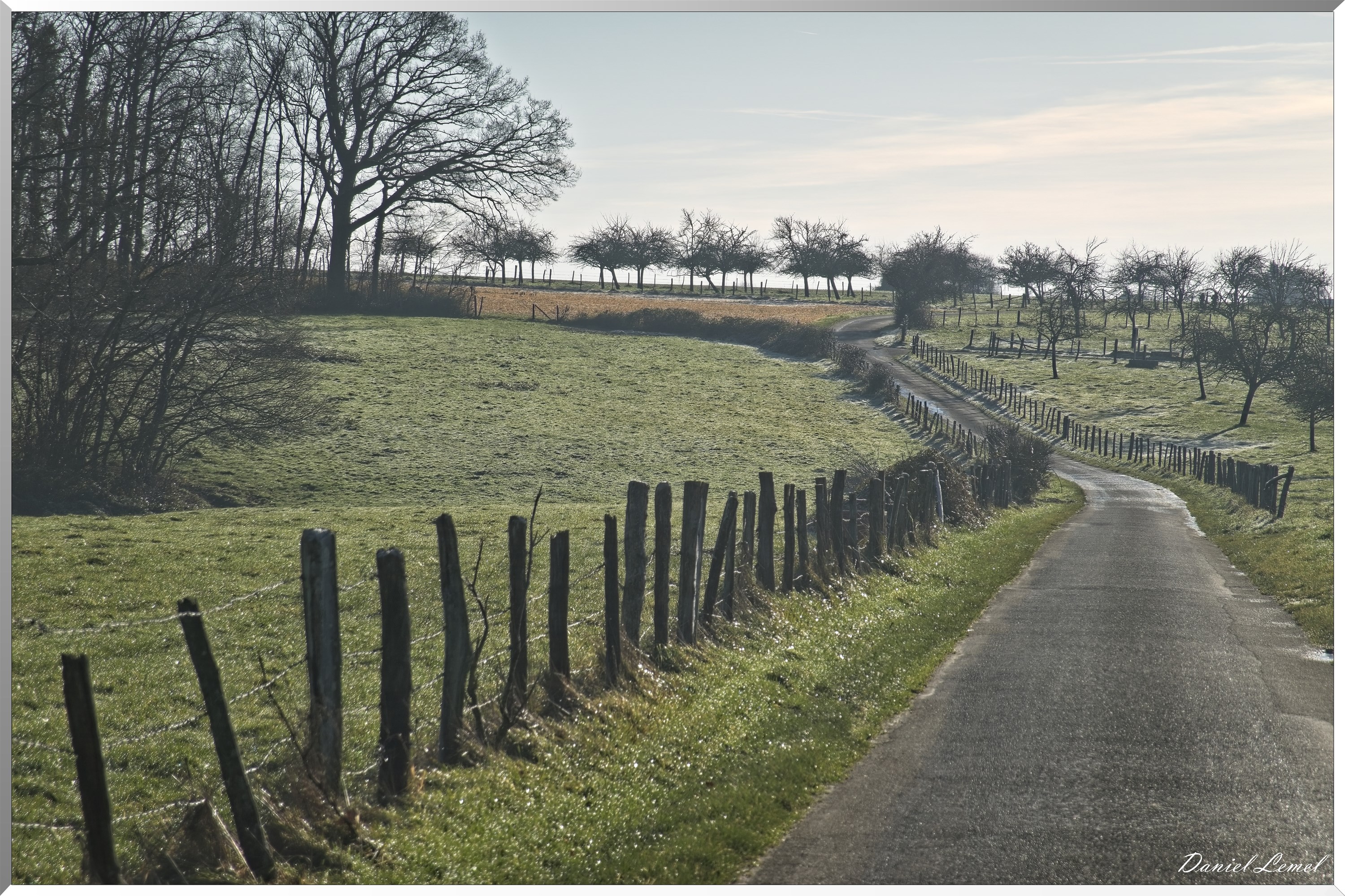 Dormont-Bois-de-Brillehaut