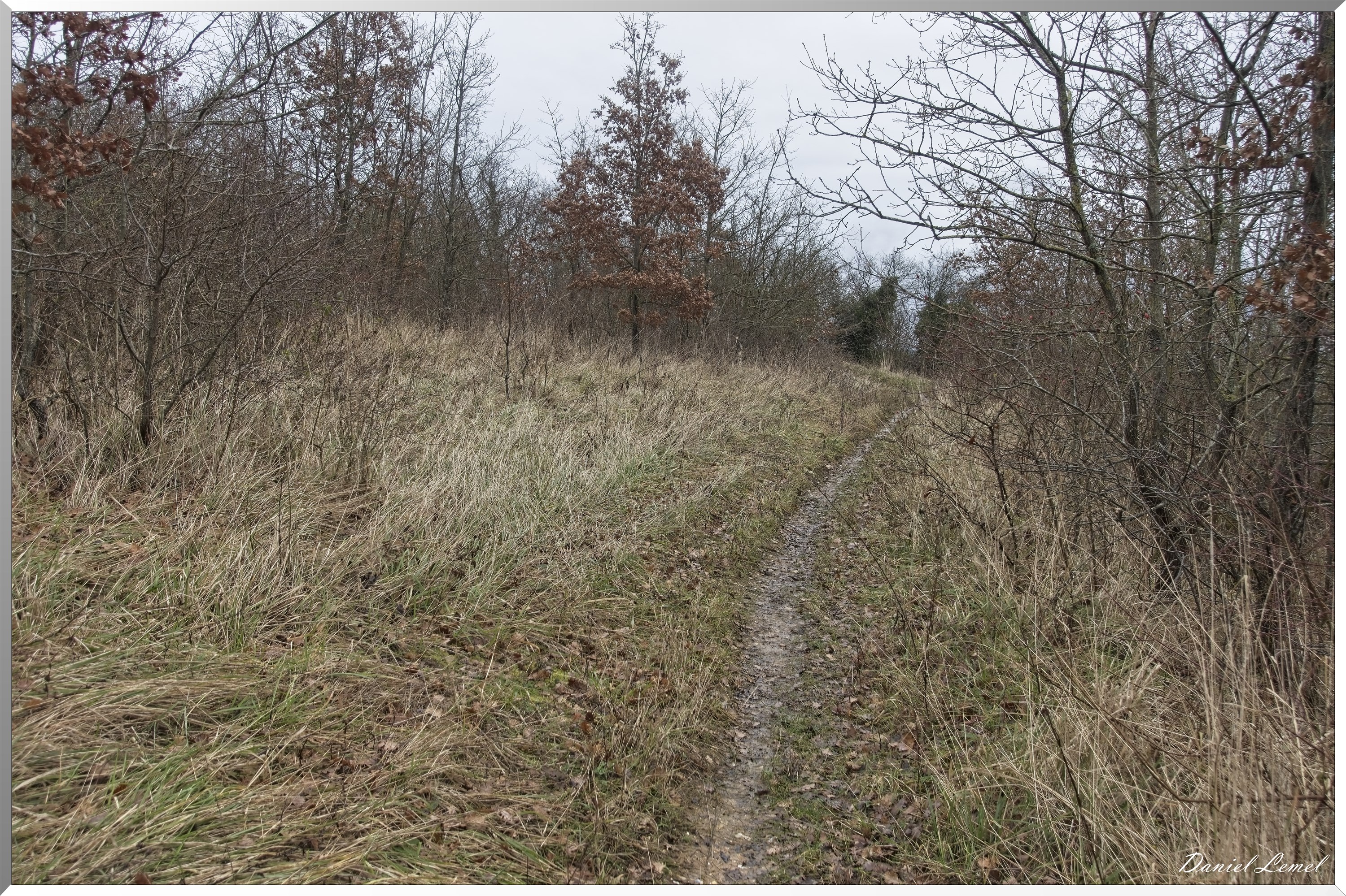 Gommecourt