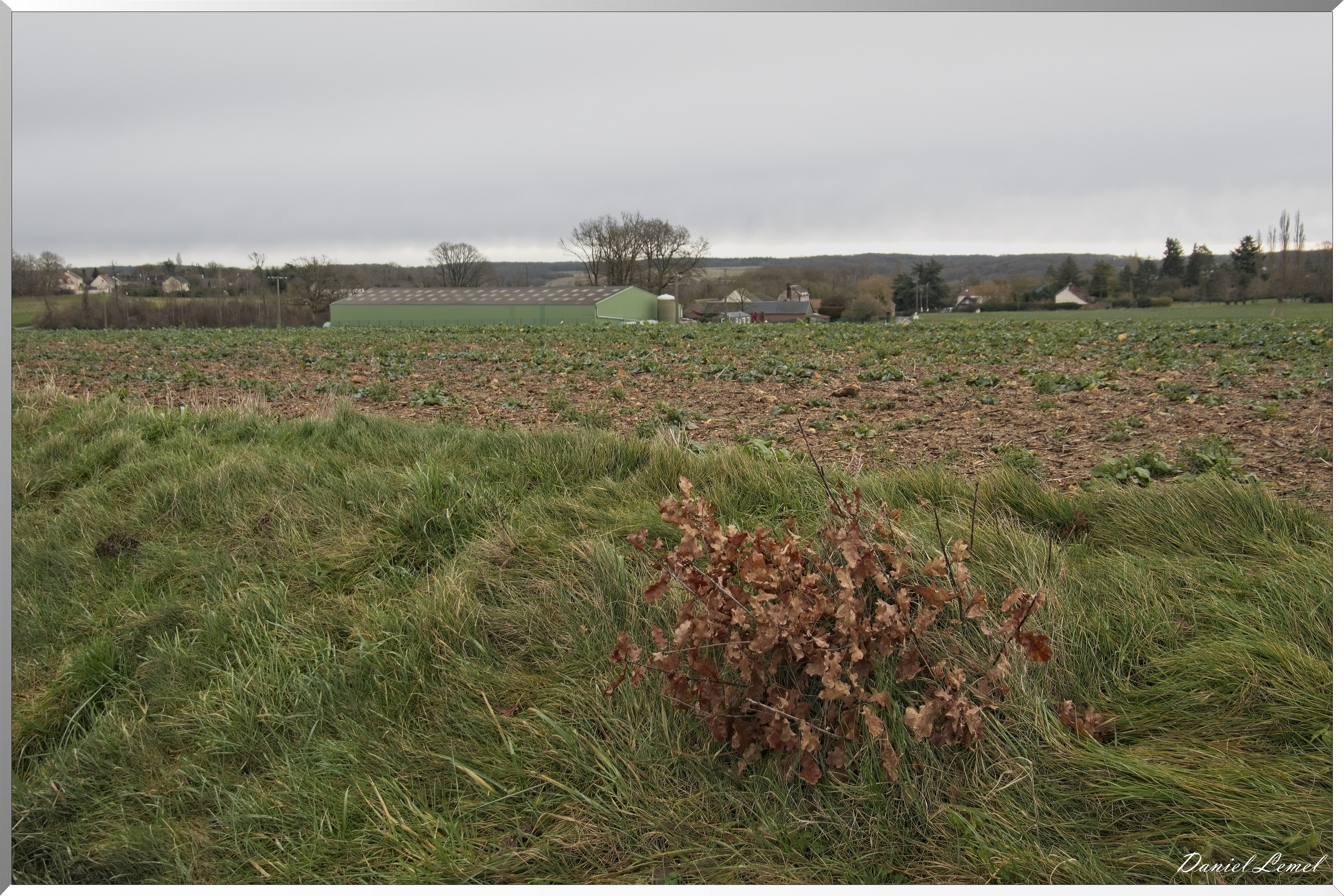 La-Chapelle-Réanville