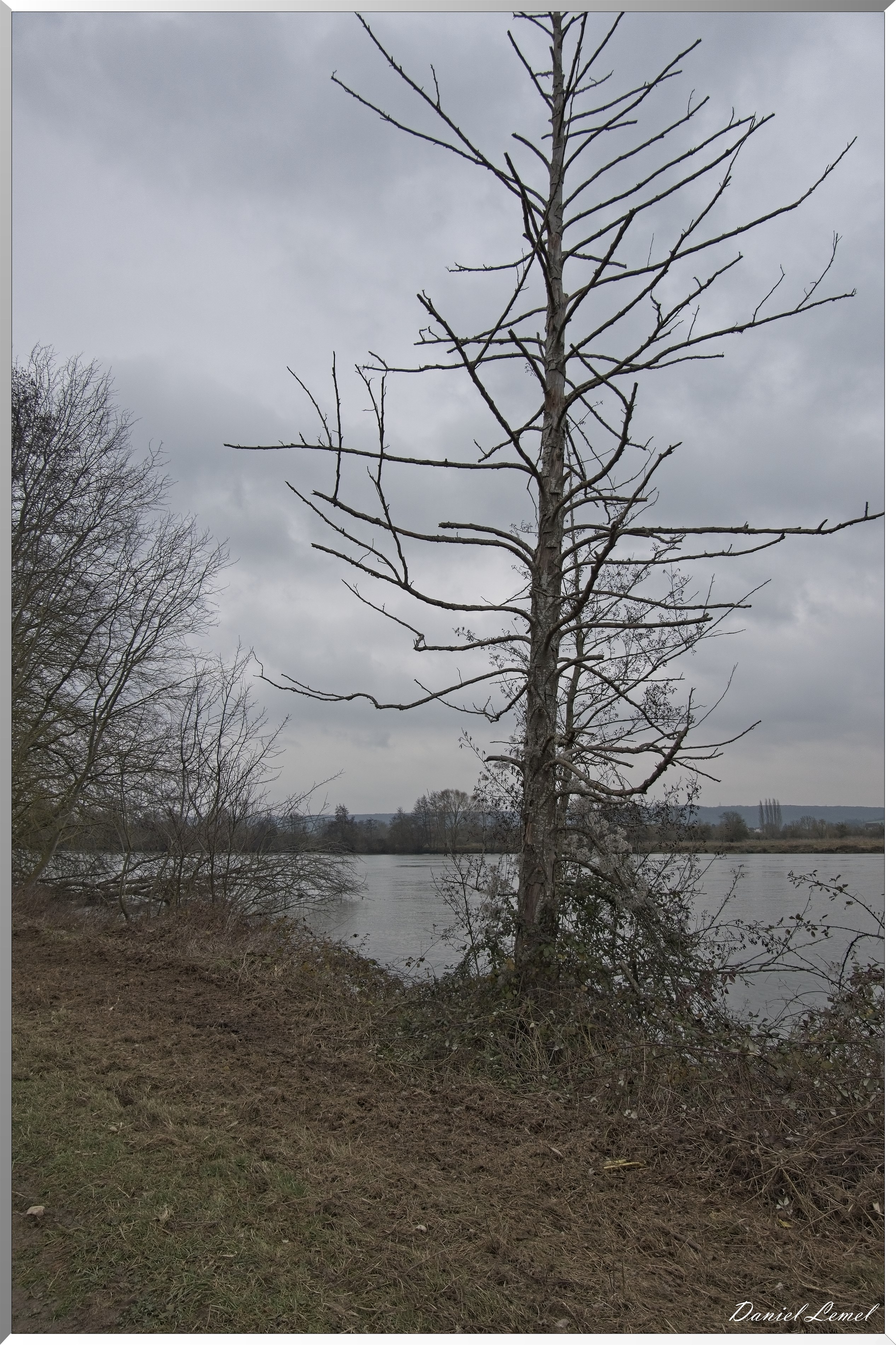 Mestreville