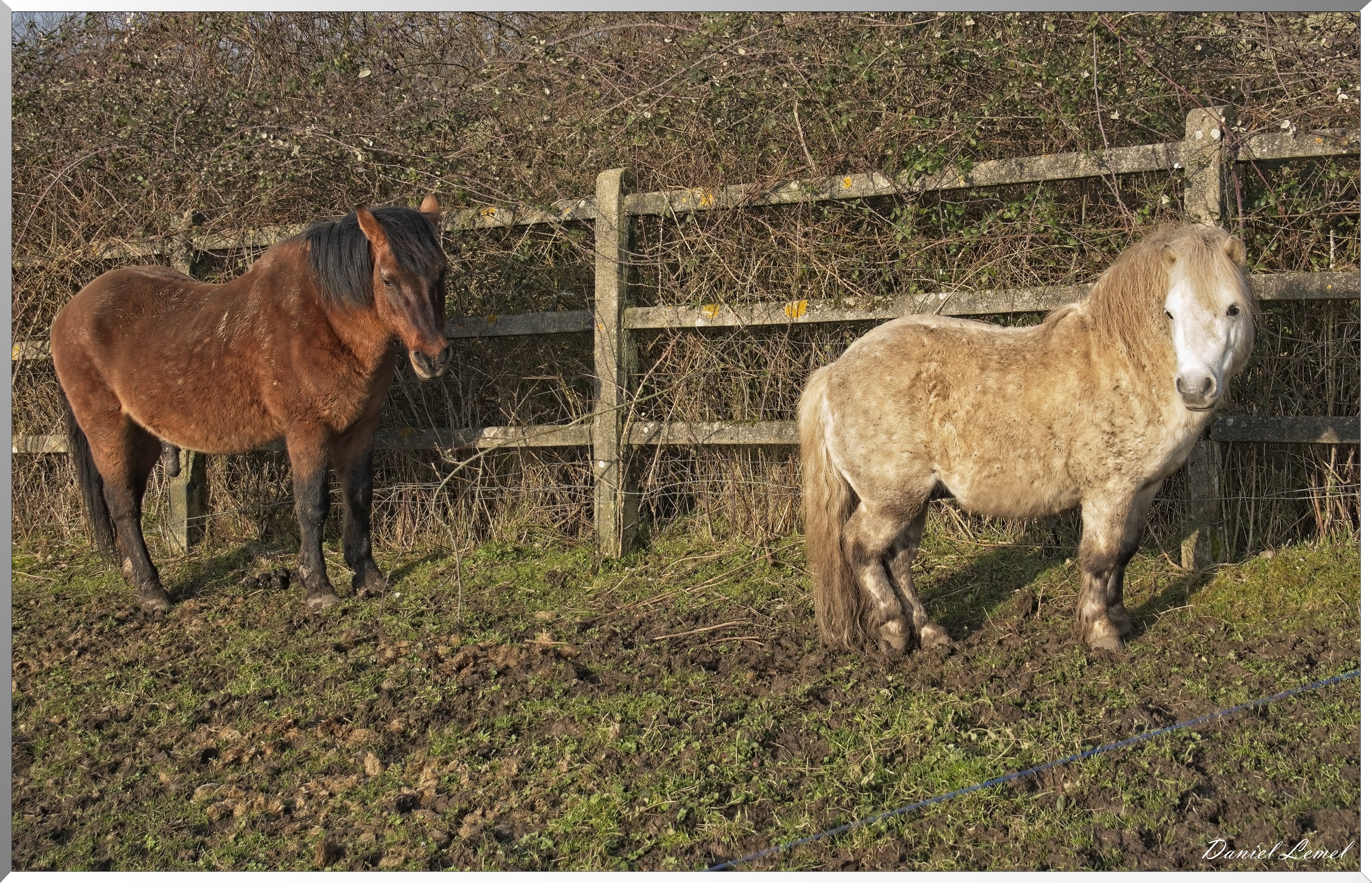 Notre-Dame-de-l'Isle