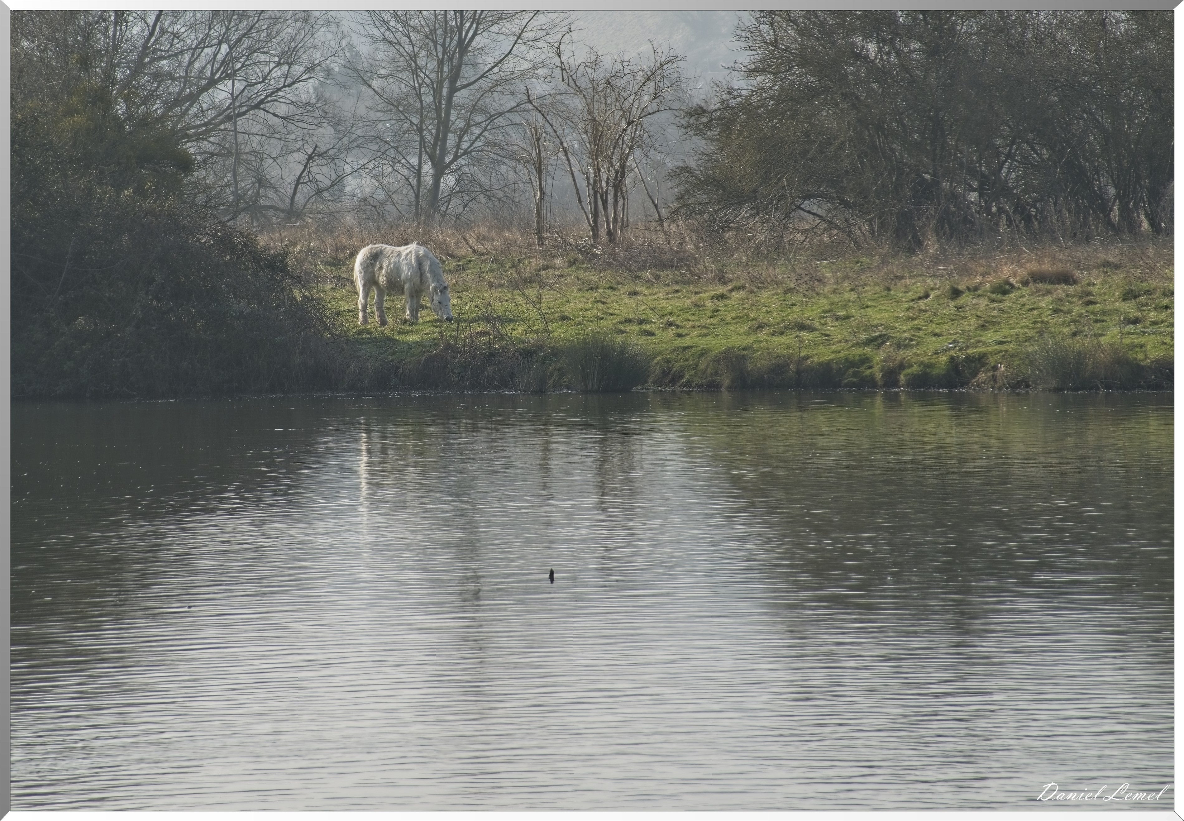 Notre-Dame-de-l'Isle