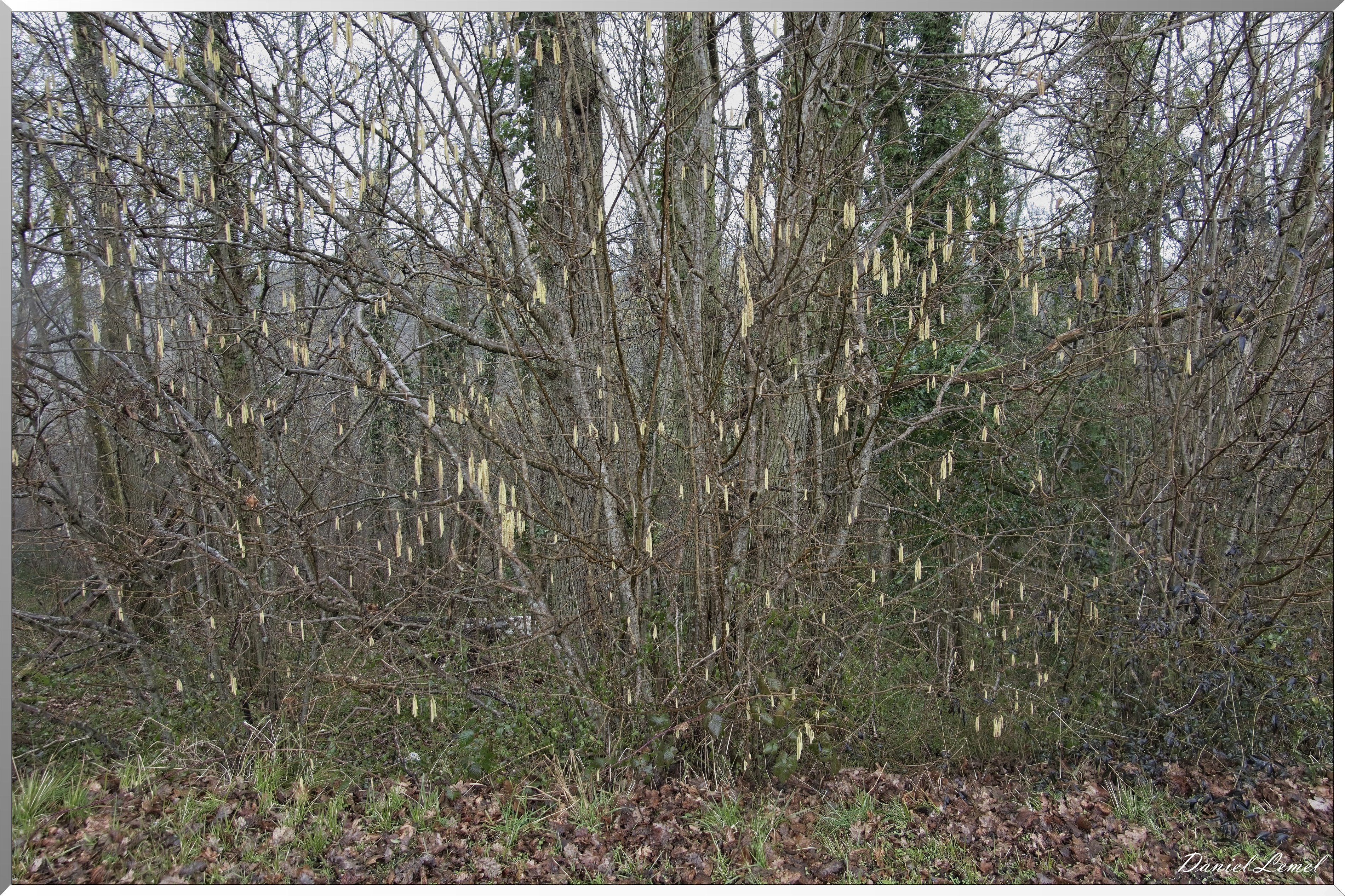Les-Andelys