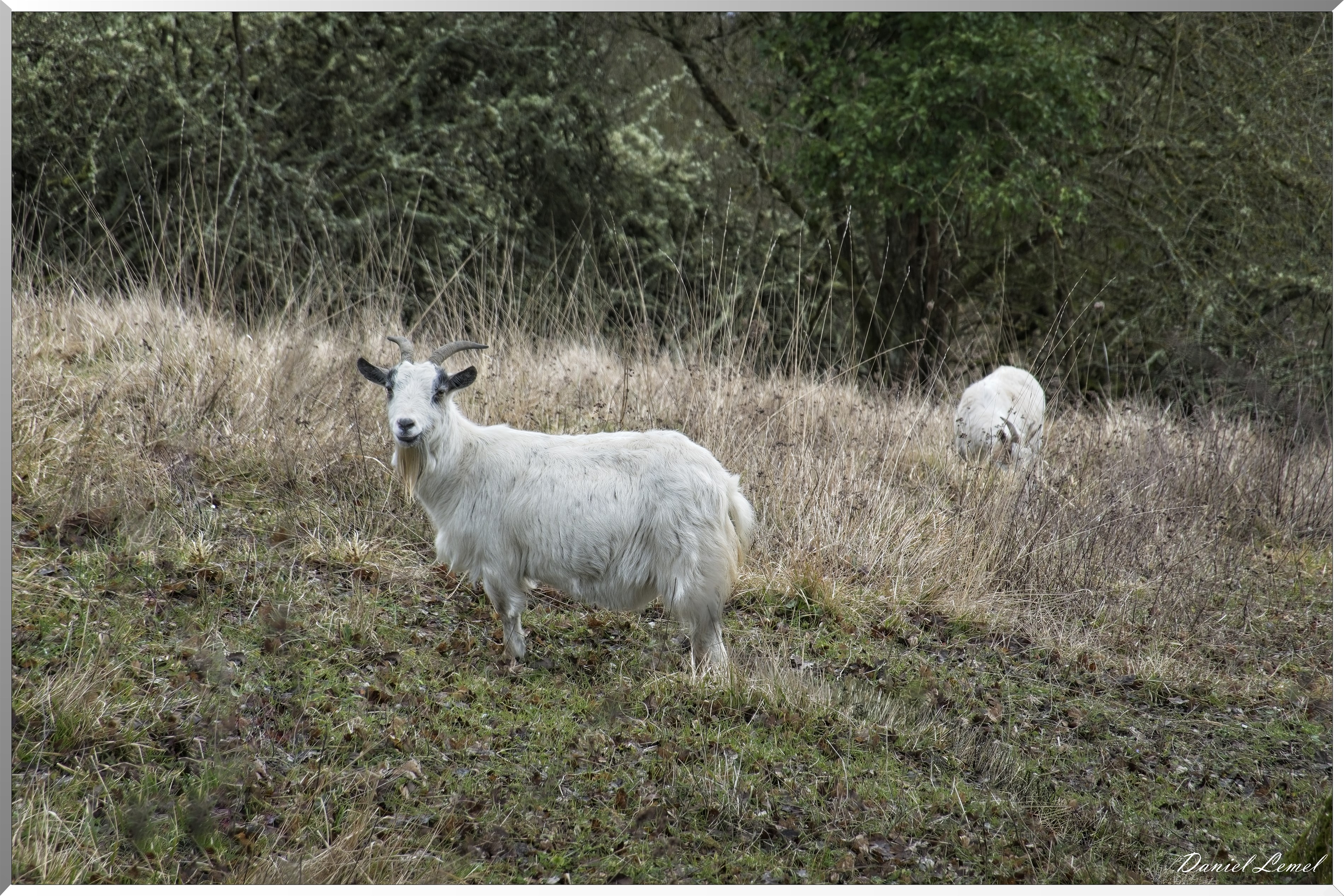 Les-Andelys