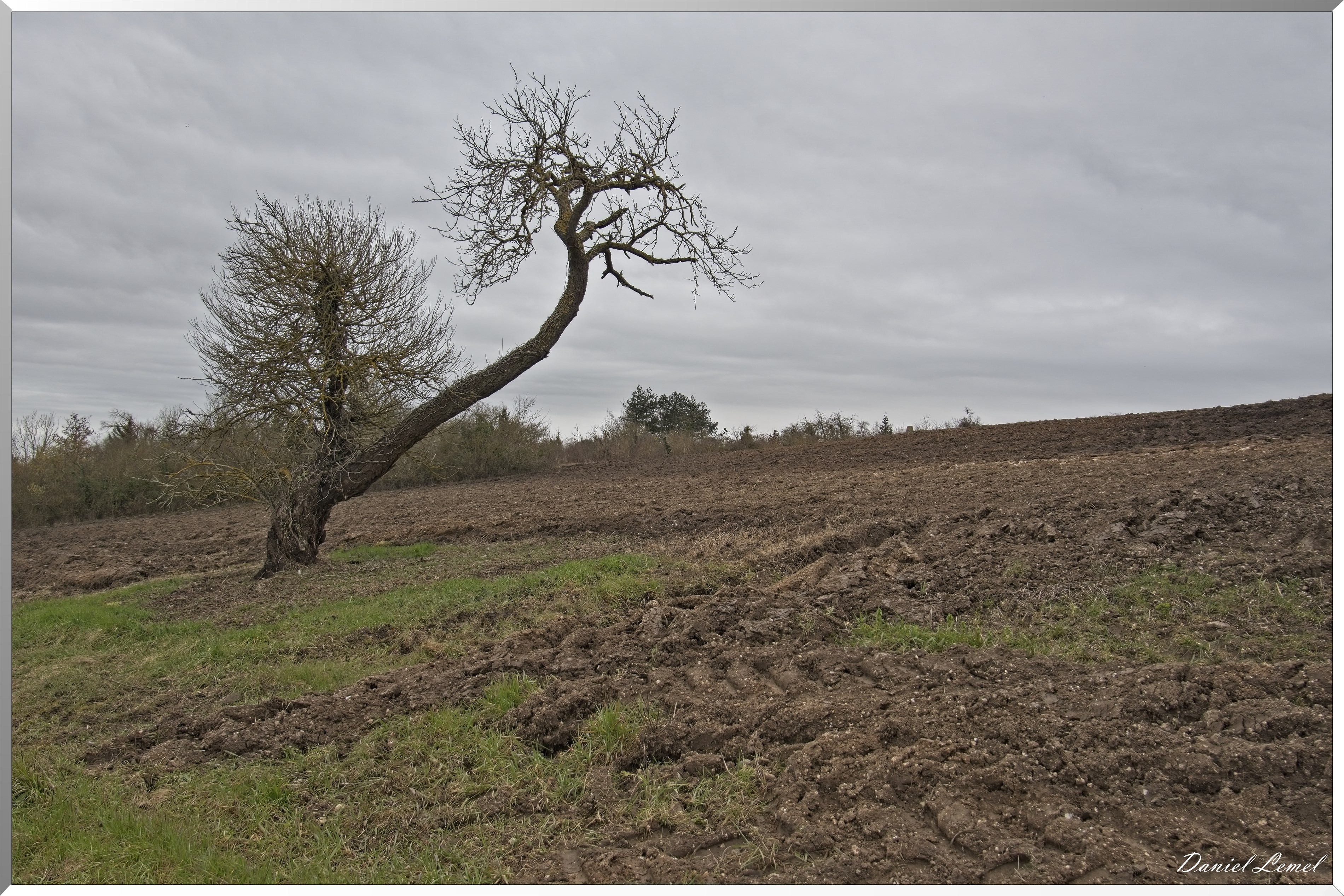 Bennecourt