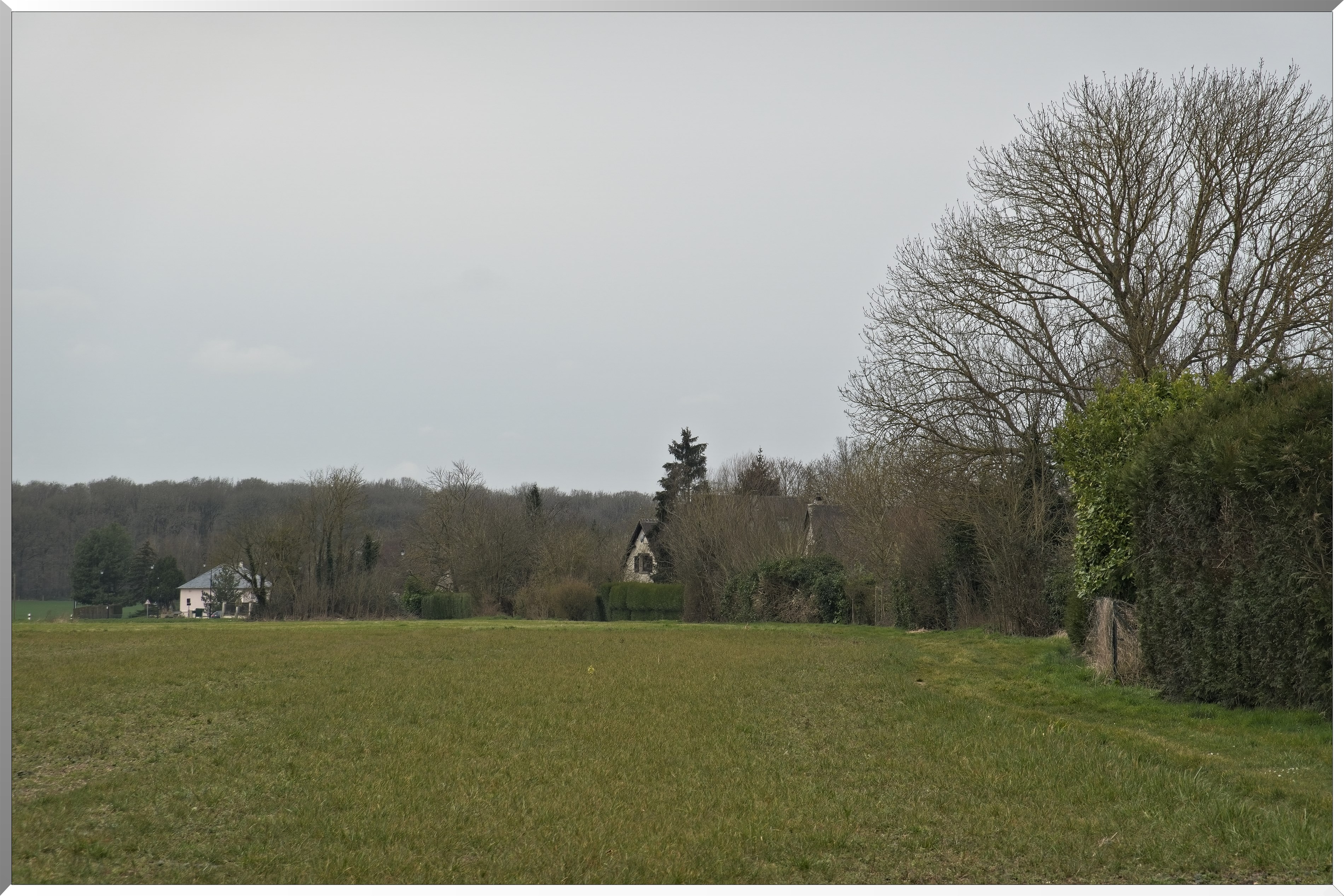 Panilleuse