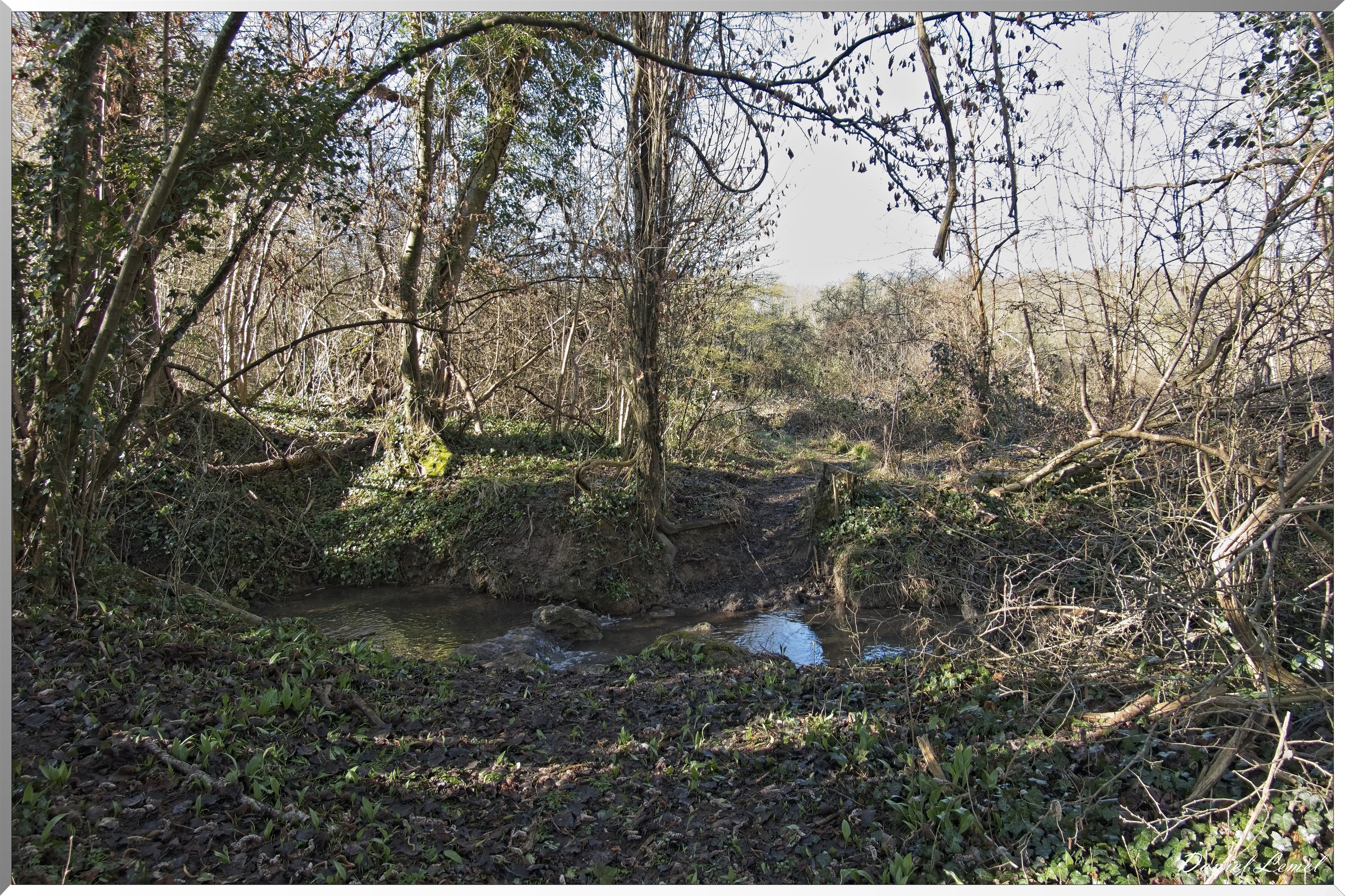 La-Chapelle-Réanville