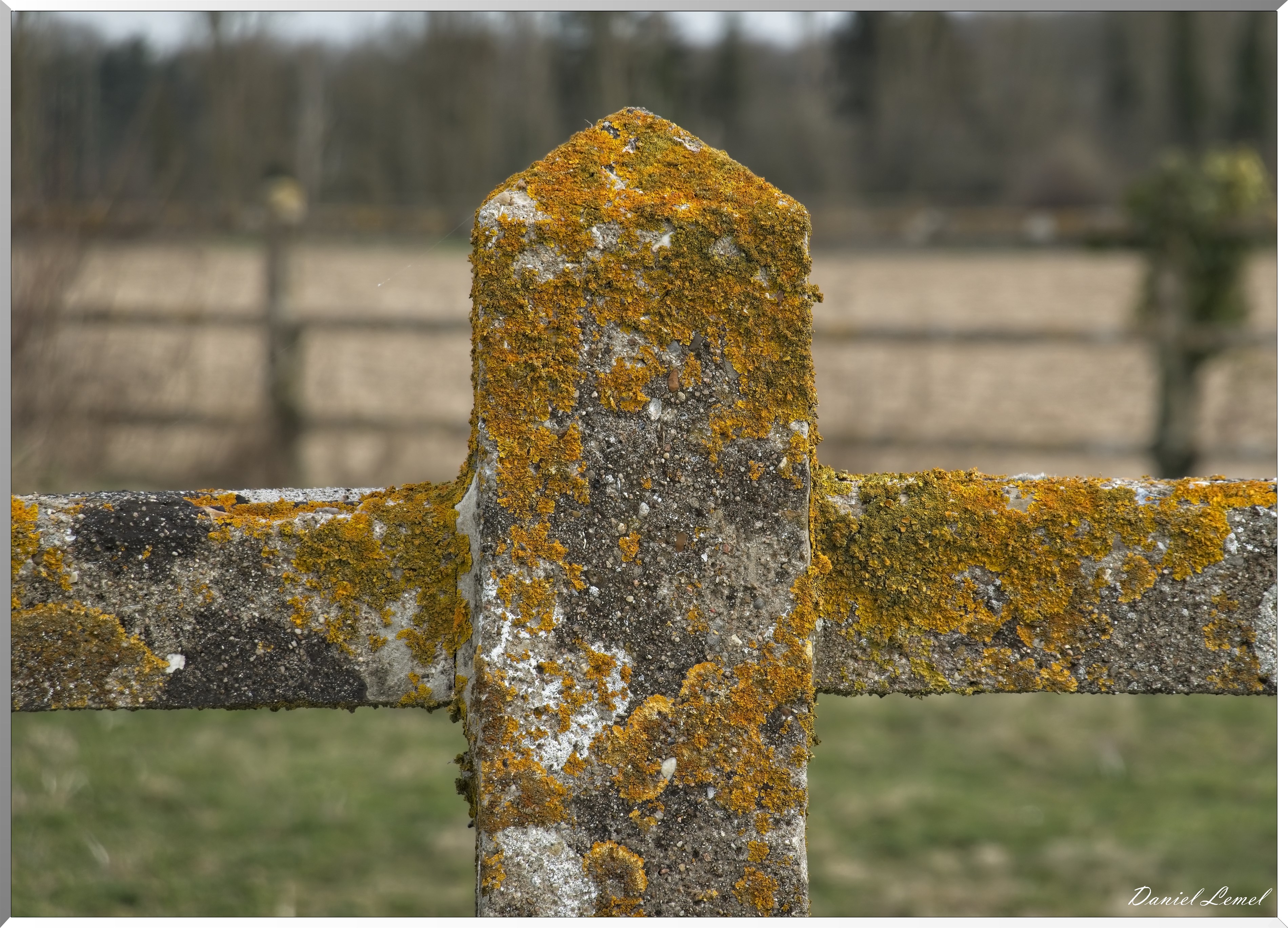 Notre-Dame-de-la-Mer