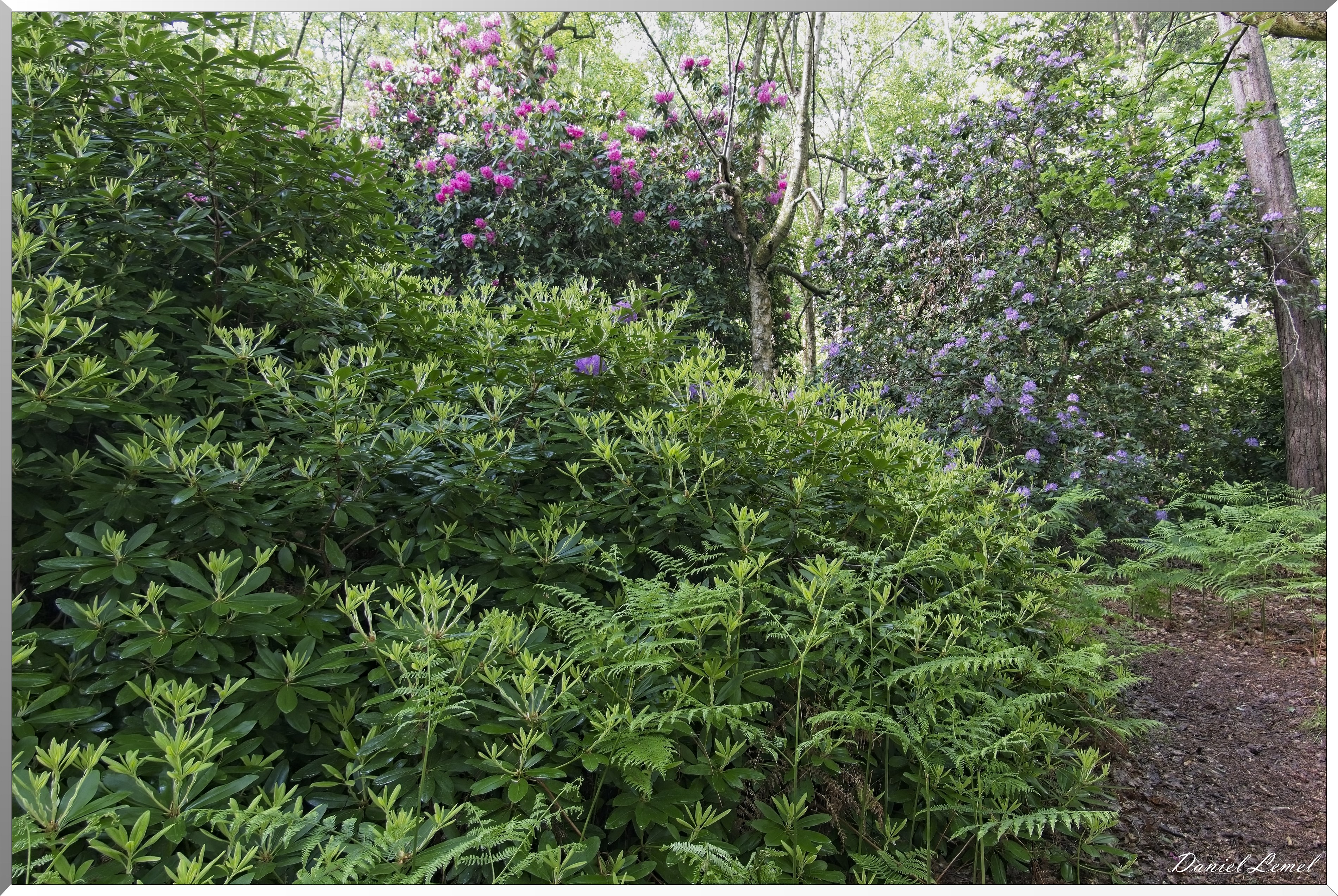 St-Aubin-sur-Gaillon