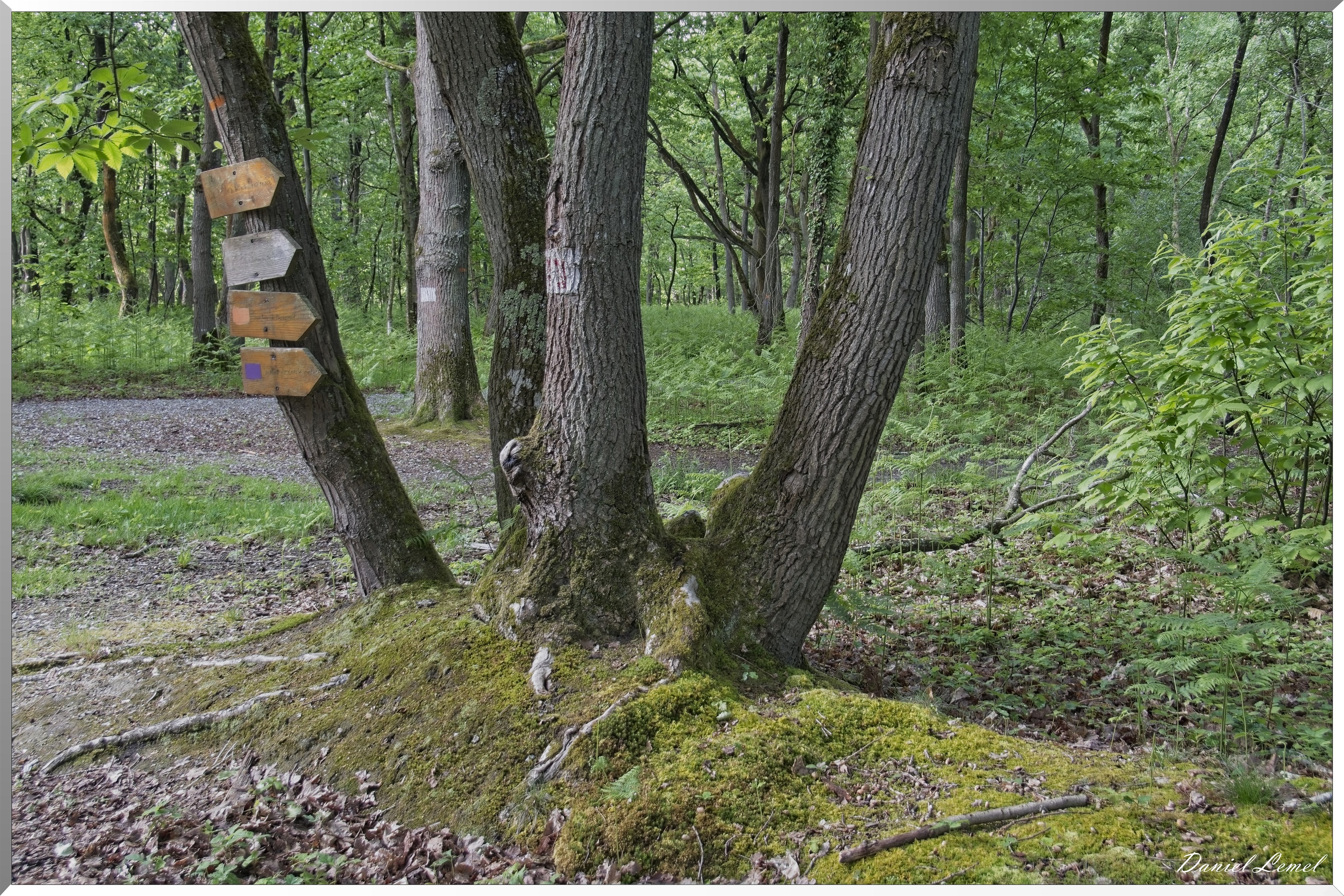 St-Aubin-sur-Gaillon